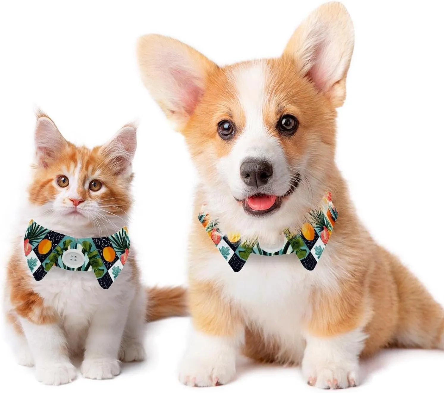 2 Pieces Dog Collars with Bow Ties  Formal or Casual Styles (Cute Jungle Palm Tree Framed Flowers vase Food 5)