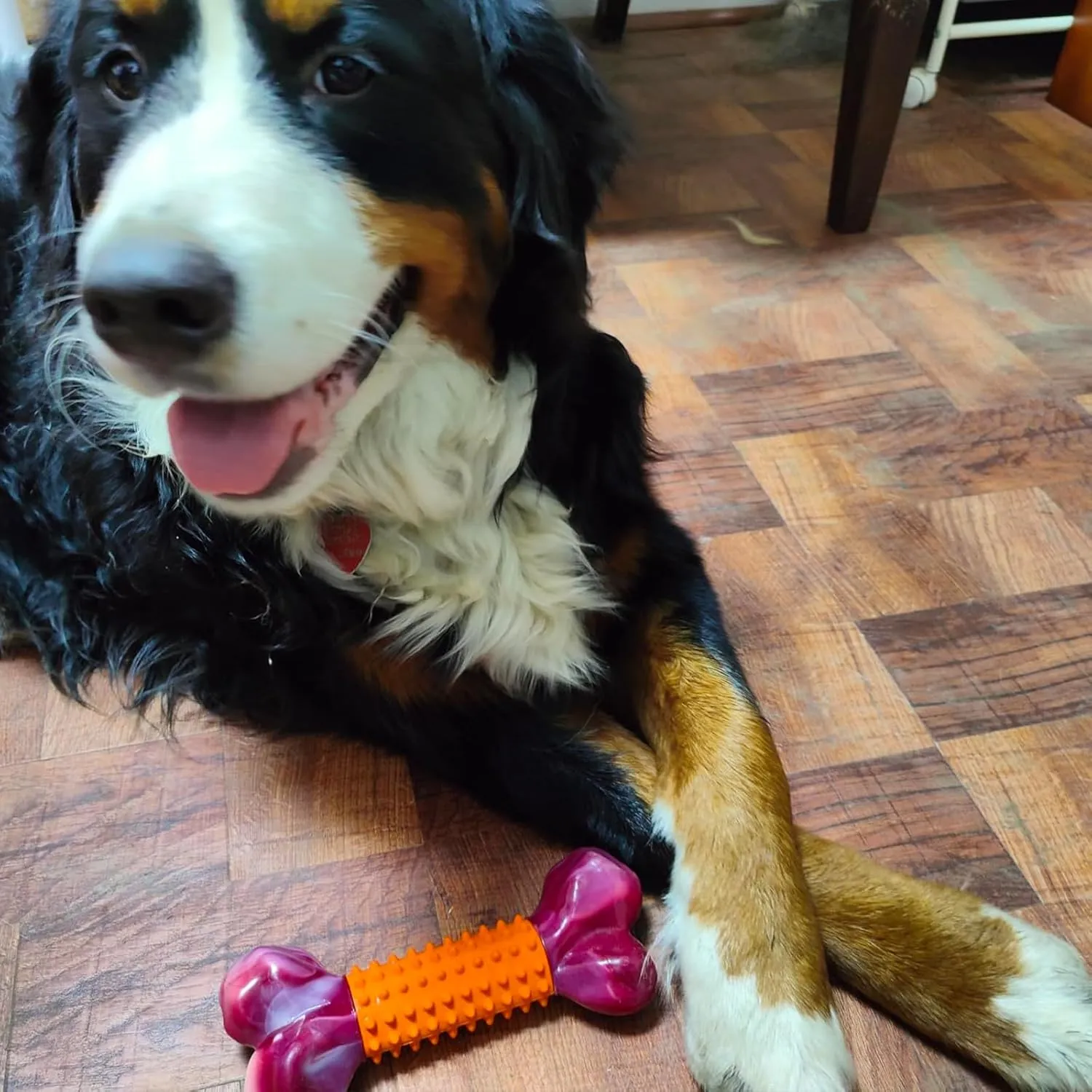 Apasiri Tough Dog Toys for Aggressive Chewers Large Breed, Peanut Butter Flavor Dog Chew Bone, Nylon & Rubber Chew Toy for Medium Large Dogs