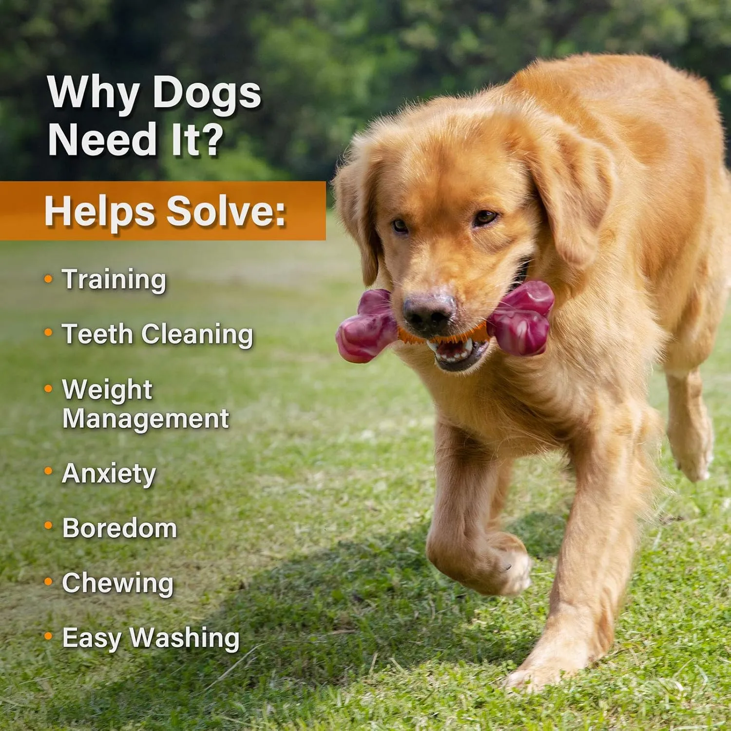 Apasiri Tough Dog Toys for Aggressive Chewers Large Breed, Peanut Butter Flavor Dog Chew Bone, Nylon & Rubber Chew Toy for Medium Large Dogs