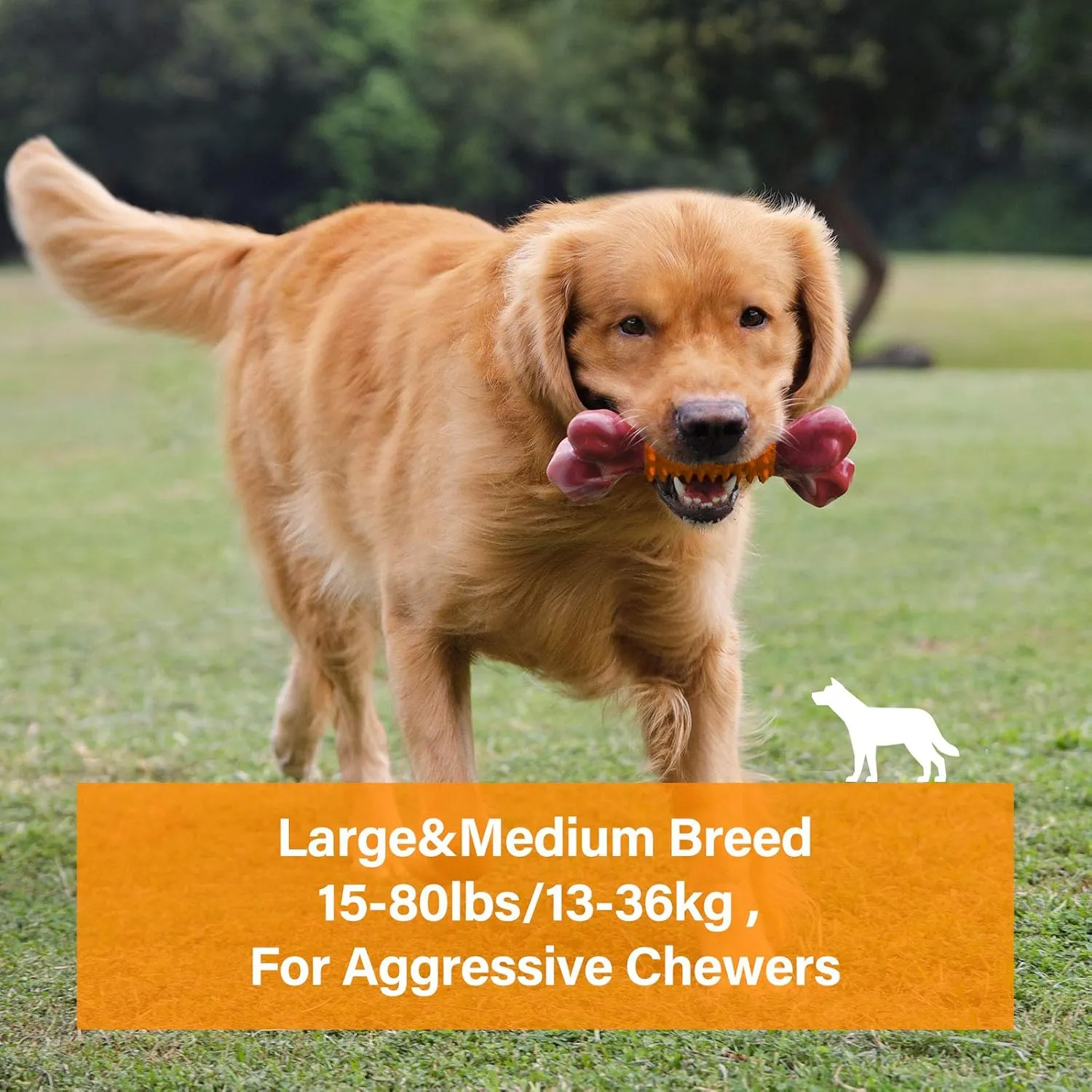 Apasiri Tough Dog Toys for Aggressive Chewers Large Breed, Peanut Butter Flavor Dog Chew Bone, Nylon & Rubber Chew Toy for Medium Large Dogs
