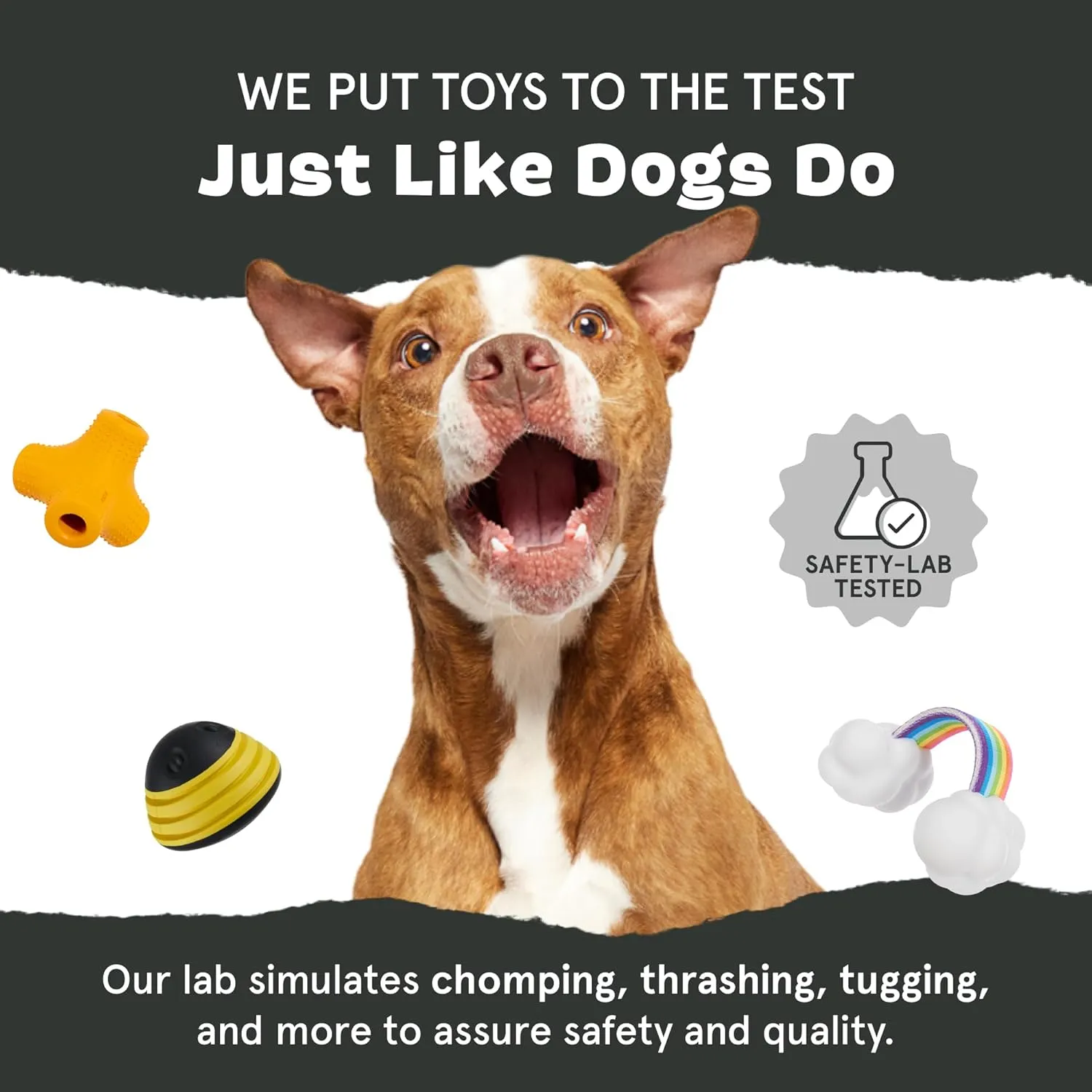 Barkbox Super Chewer Tough Dog Chew Toys for Aggressive Chewers, Treat Dispensing (Carrot - Small)