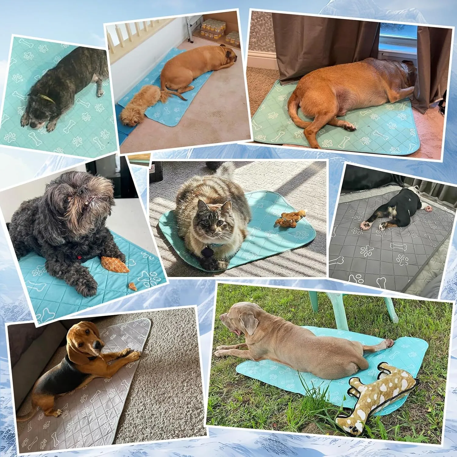 BEAUTYZOO Upgraded Dog Self Cooling Mat Ice Silk Chill Pads for Small Medium Large Dogs - Summer Reusable Pet Training Pad - Absorbent Non-Slip Cool Mat for Kennels, Crates and Beds, 23" x 35"
