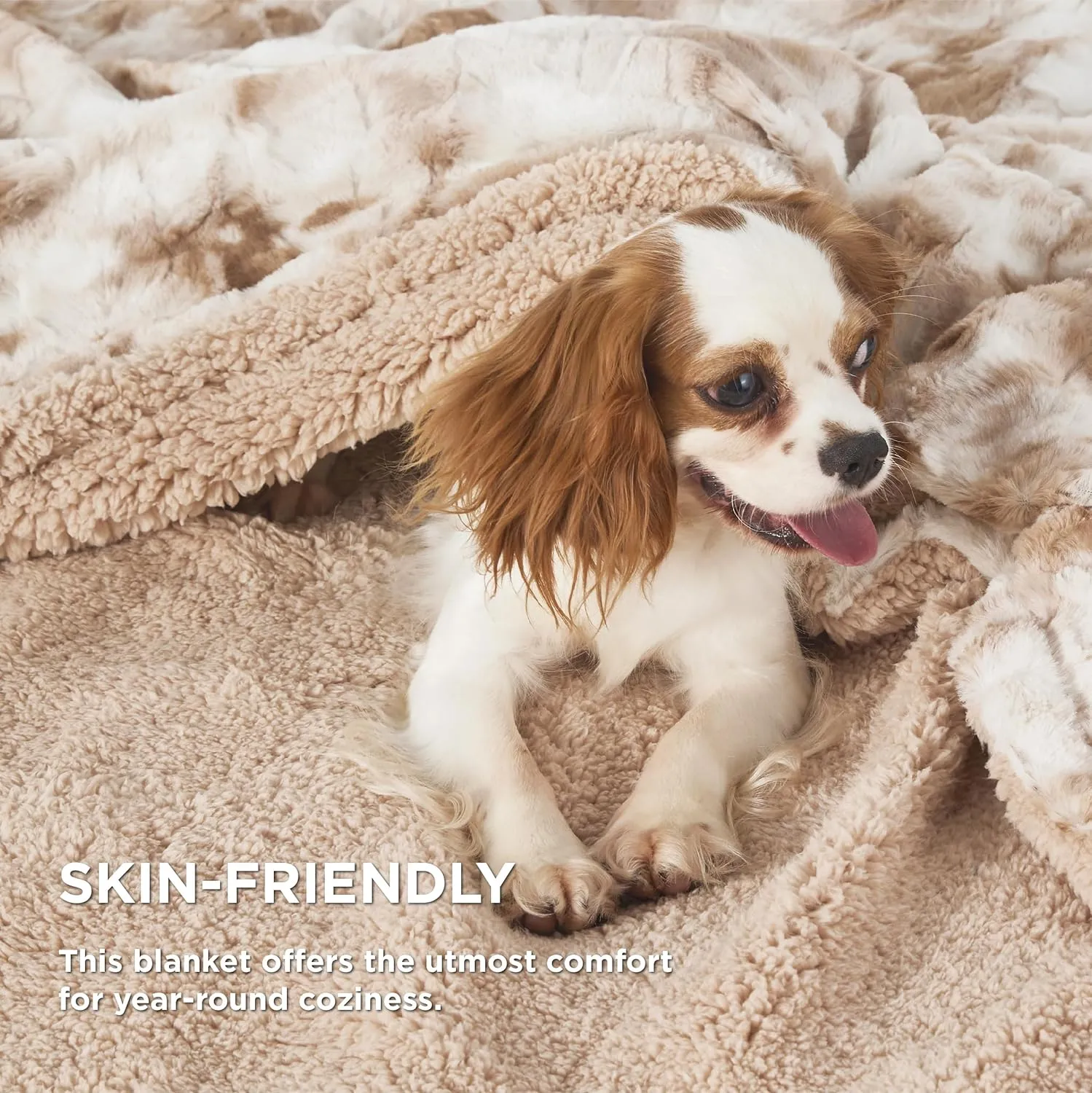 Bedsure Sherpa Blanket Twin Size - Soft, Fuzzy & Fluffy Faux Fur - Warm, Cozy Blanket for Couch, Sofa and Bed, Beige, 60x80 Inches