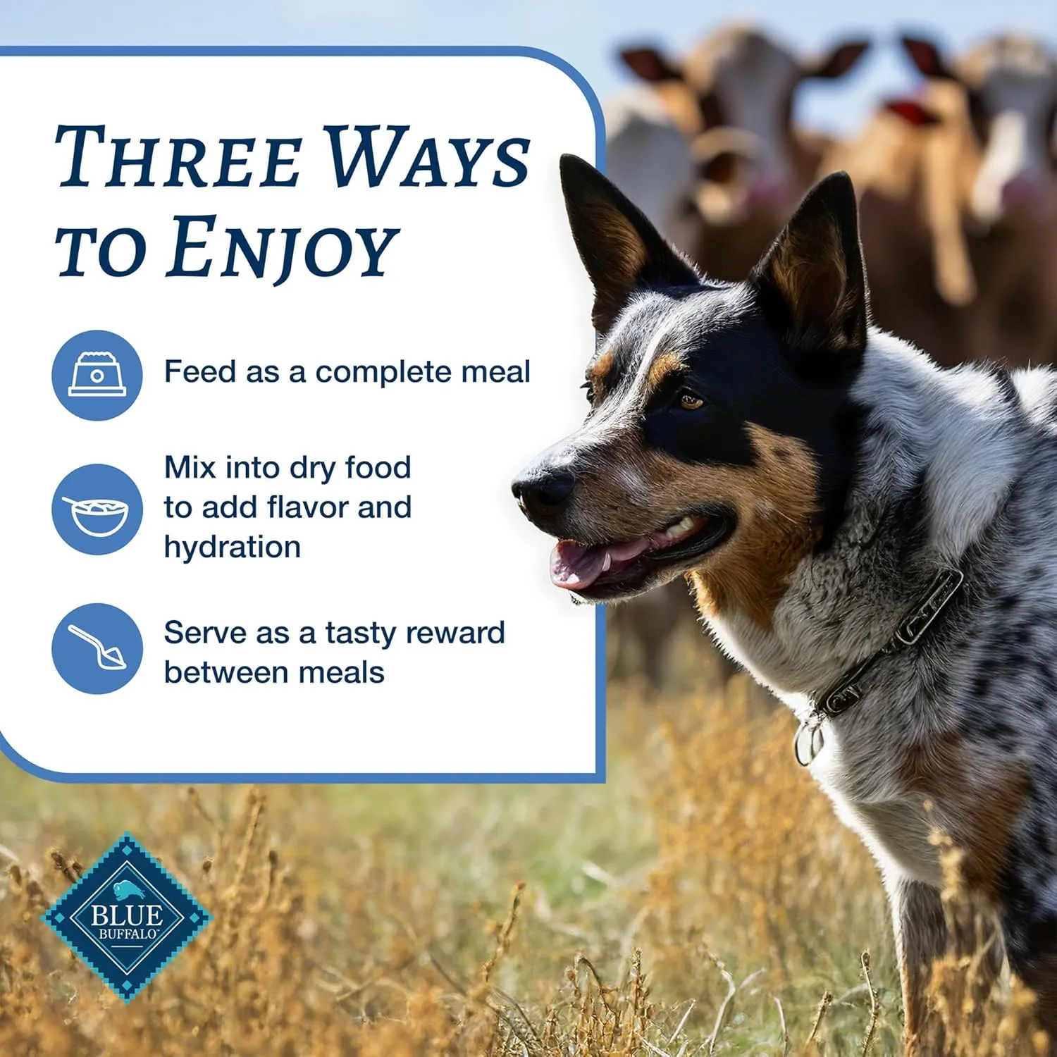 Blue Buffalo Family Favorites Adult Wet Dog Food, Made with Natural Ingredients, Sunday Chicken Dinner, 12.5-oz Can (Pack of 12)