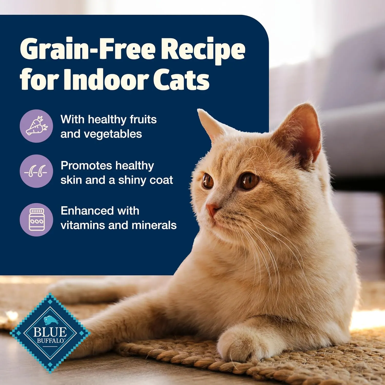 Blue Buffalo Freedom Grain-Free Adult Wet Cat Food, Complete & Balanced Nutrition for Indoor Cats, Made with Natural Ingredients, Chicken Recipe, 5.5-oz. Cans (24 Count)