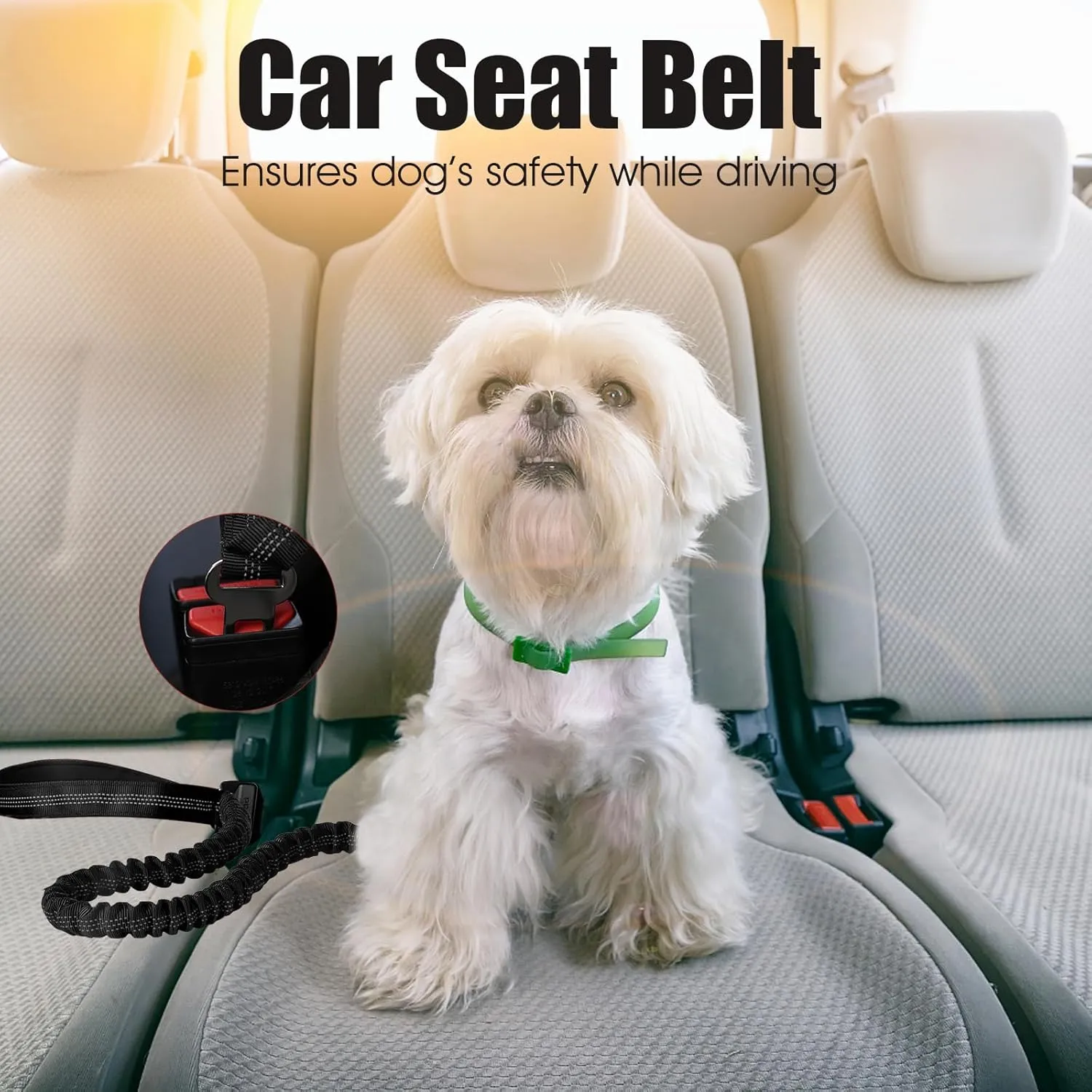 BUMBIN 6Ft Bungee Leash With 2 Handles for Large, Medium, Small Dogs - Heavy Duty, No Pull Shock Absorbing With Car Seat Belt for Training, Black