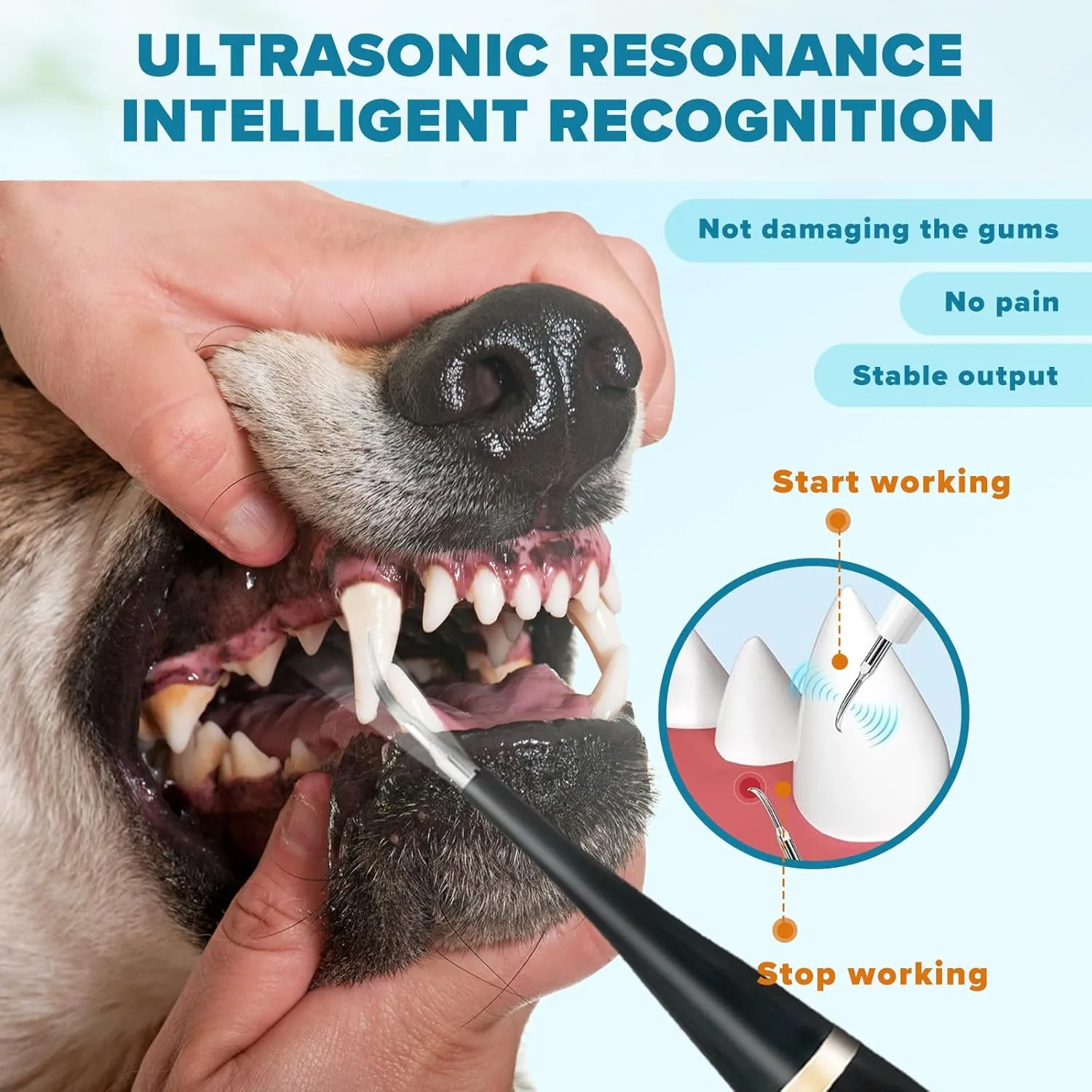 Canident - Sonic Tooth Cleaner for Dogs Dog tTeeth Cleaning Kit, Electric Sonic Tooth Cleaner for Dogs, Pet Tartar Plaque Remover, Professional Dog Teeth Cleaning Tools(Black, Standard Size)