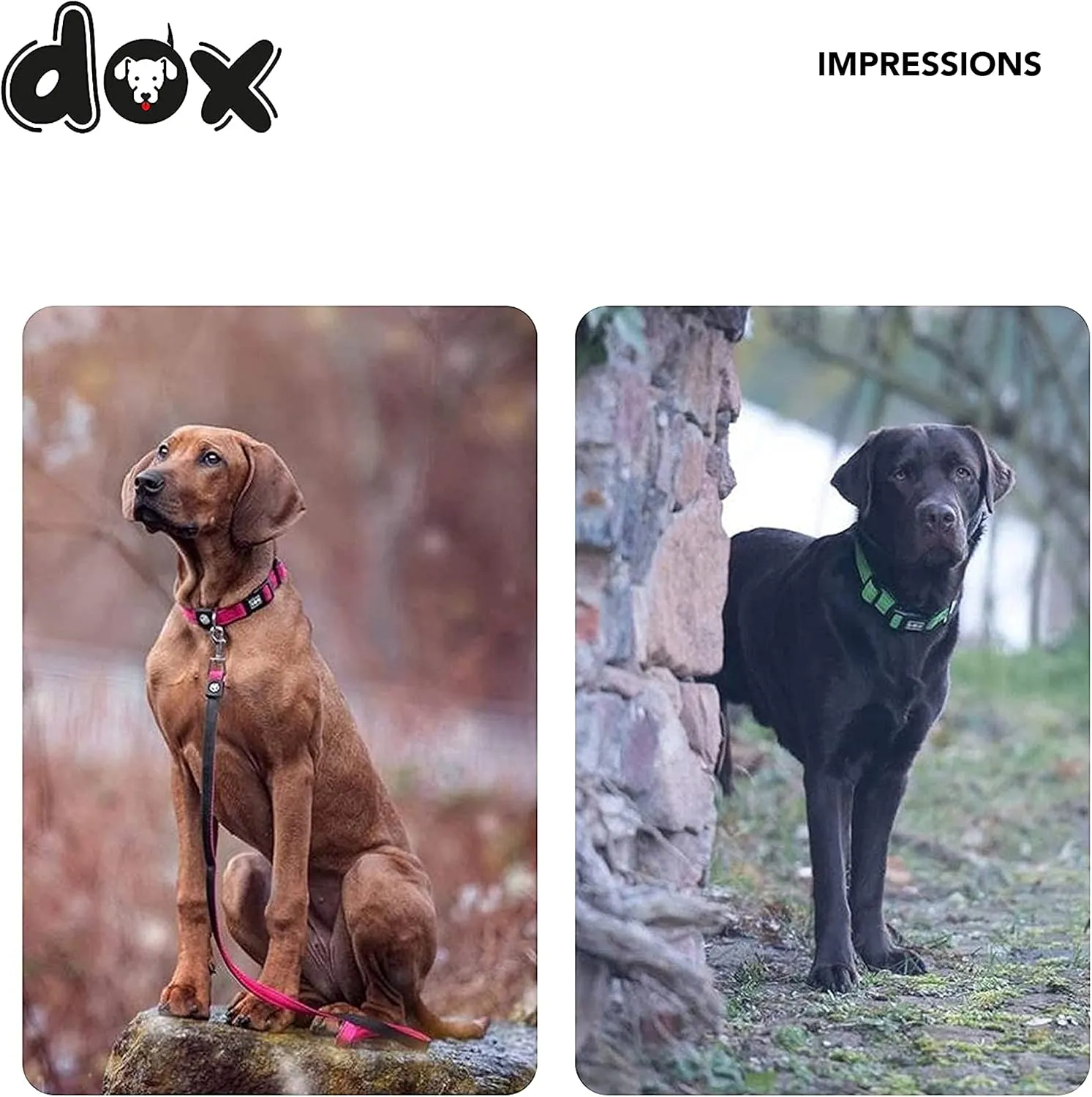 DDOXX Dog Collar Air Mesh, Adjustable, Padded | Many Colors & Sizes | for Small, Medium & Large Dogs | Collars cat Puppy pet Kitten | Yellow, XS