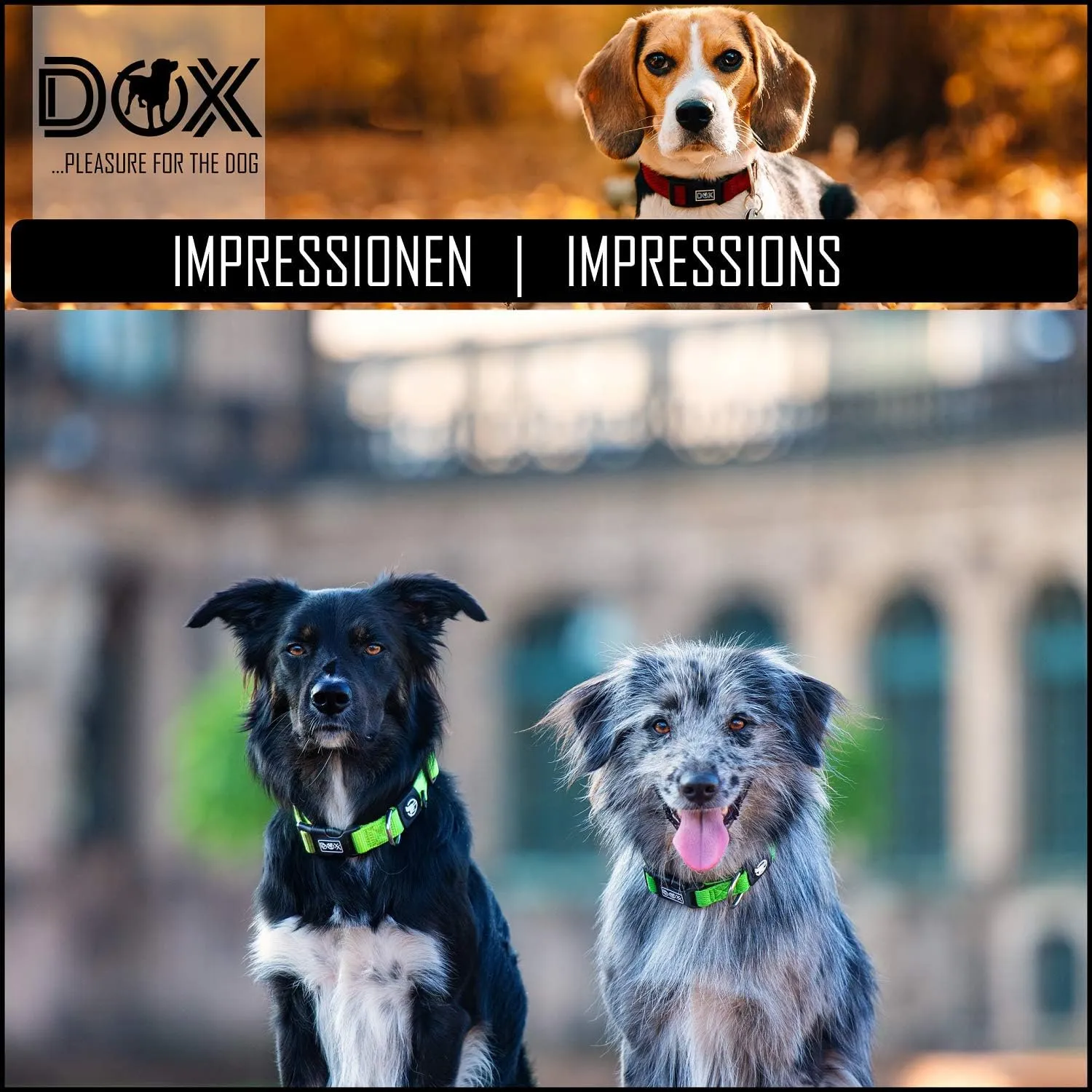 DDOXX Dog Collar Air Mesh, Adjustable, Padded | Many Colors & Sizes | for Small, Medium & Large Dogs | Collars cat Puppy pet Kitten | Yellow, XS