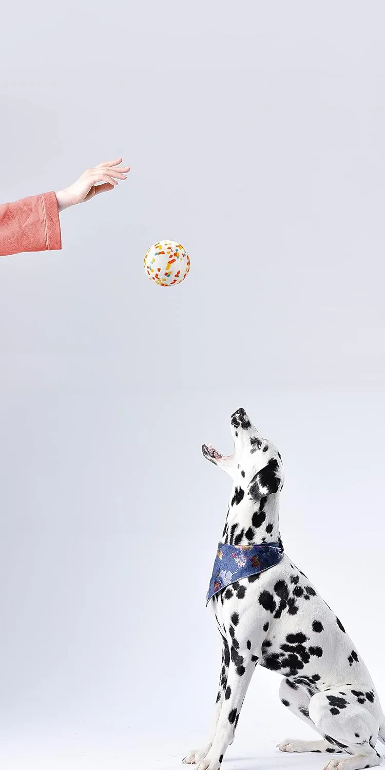 Dog Balls, Indestructible Dog Toy Ball for Aggressive Chewers, Durable High Elasticity Interactive Ball for Training Dog Catch and Fetch, Large Medium Small Dog and Puppies(2.5in, 1pcs)