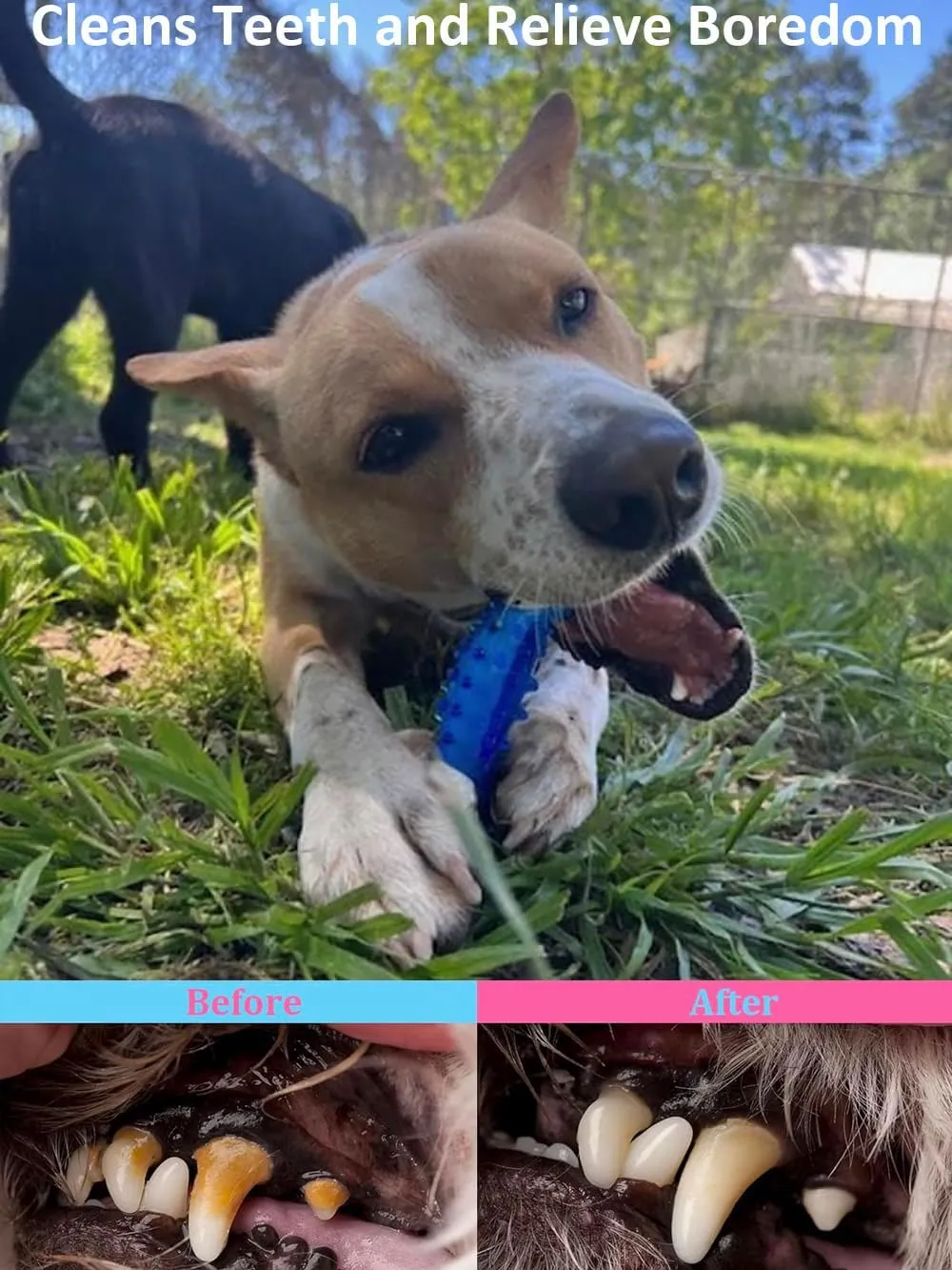Dog Chew Toys 3-Pack - Puppy Teething Toys for Small to Medium Dogs, Natural Rubber-Coated Tough Nylon for Teething Puppies, Provide The Perfect Balance Between Durability and Softness, Blue