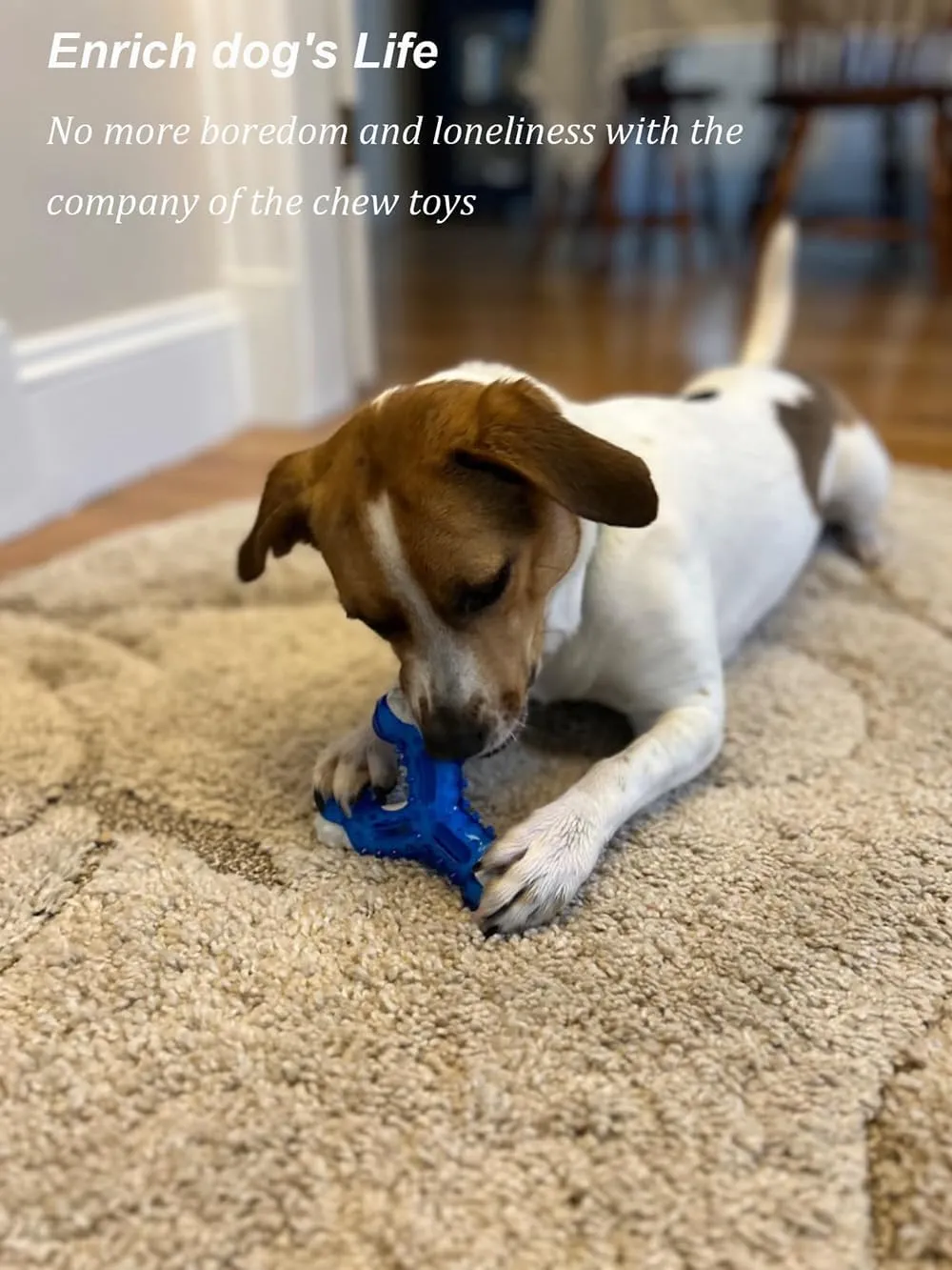 Dog Chew Toys 3-Pack - Puppy Teething Toys for Small to Medium Dogs, Natural Rubber-Coated Tough Nylon for Teething Puppies, Provide The Perfect Balance Between Durability and Softness, Blue