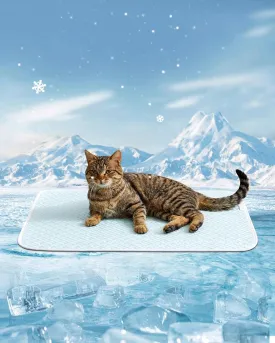 Dog Cooling Mat - Instant Cooling Pet Bed for Dogs & Cats, 6-12F Drop, Non-Toxic & Machine Washable, Anti-Slip Bottom, Cool Mat for Indoor & Travel Use Light Blue 24" x 18"