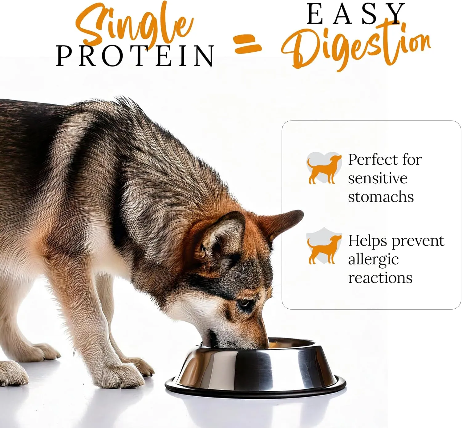 DOG'S LOVE Turkey Canned Dog Food Wet, Grain-Free Wet Dog Food - Human-Grade Quality, Single Protein - Rich in Essential Nutrients, Healthy Choice for Better Digestion & Immunity - 6 Cans, 14.1 Oz
