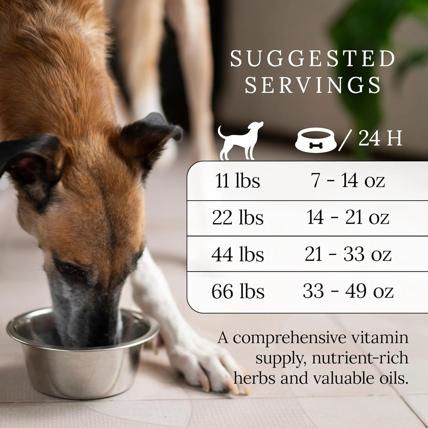 DOG'S LOVE Turkey Canned Dog Food Wet, Grain-Free Wet Dog Food - Human-Grade Quality, Single Protein - Rich in Essential Nutrients, Healthy Choice for Better Digestion & Immunity - 6 Cans, 14.1 Oz