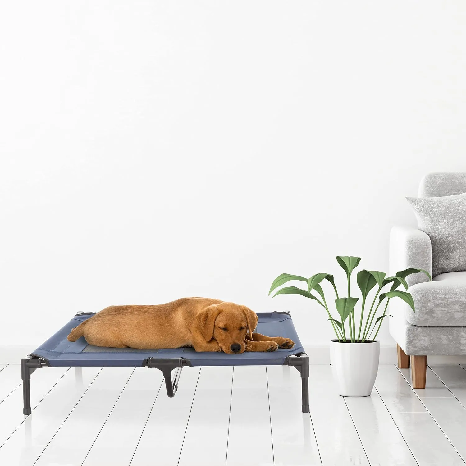 Elevated Dog Bed - 36x29.75-Inch Portable Pet Bed with Non-Slip Feet - Indoor/Outdoor Dog Cot or Puppy Bed for Pets up to 80lbs by PETMAKER (Blue)