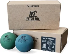 Fetch Boy The O.G. of Bounce Solid Sponge Rubber Dog Ball Toy, Made in USA, 2.5 inches, Fetching Breeds, 2 Pack Gift Box