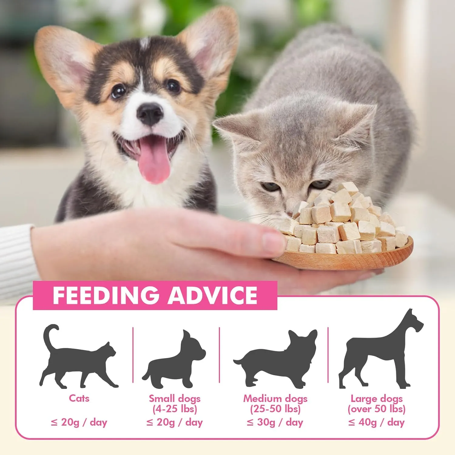 Freeze Dried Cats & Dogs Raw Treats, All Natural Single Ingredient Chicken Breast, High Protein Healthy Pet Training Treats or Food Topper, 3.53 oz