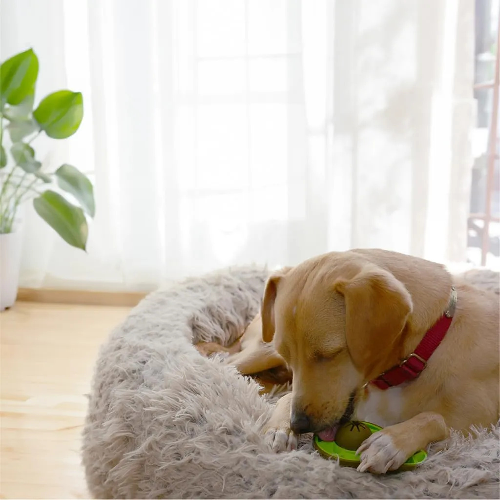Friends Forever Bully Stick Holder for Dogs, Dog Chew Toys with Slow Feeder Design, Tough Dog Toys with Treat Holder and Made by Natural Rubber, Avocado