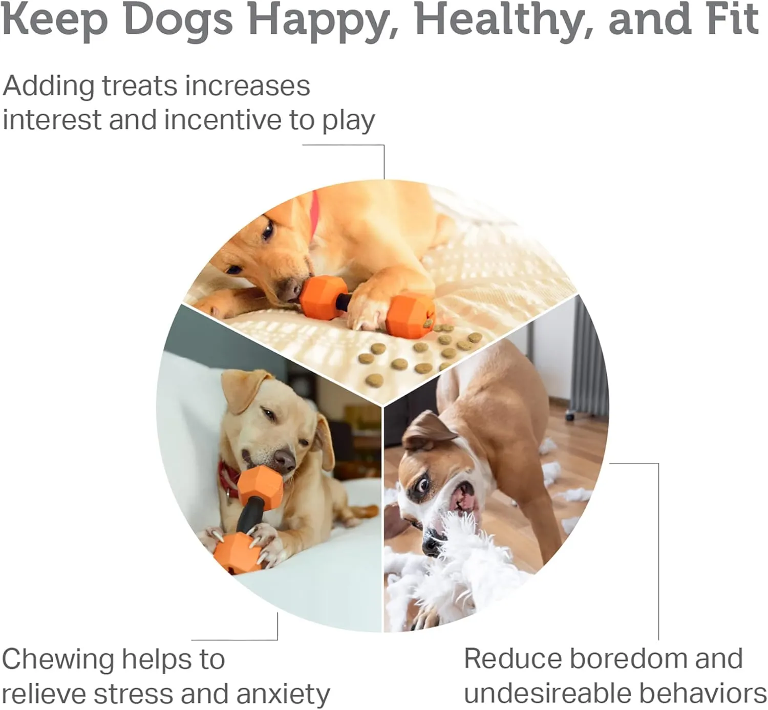 Friends Forever Dog Chew Toy, Interactive Treat Dispensing Toys, Dog Puzzle Fun Indoor Play, Non-Toxic Durable Natural Rubber, Pink/Orange 2 Piece, Dumbbell