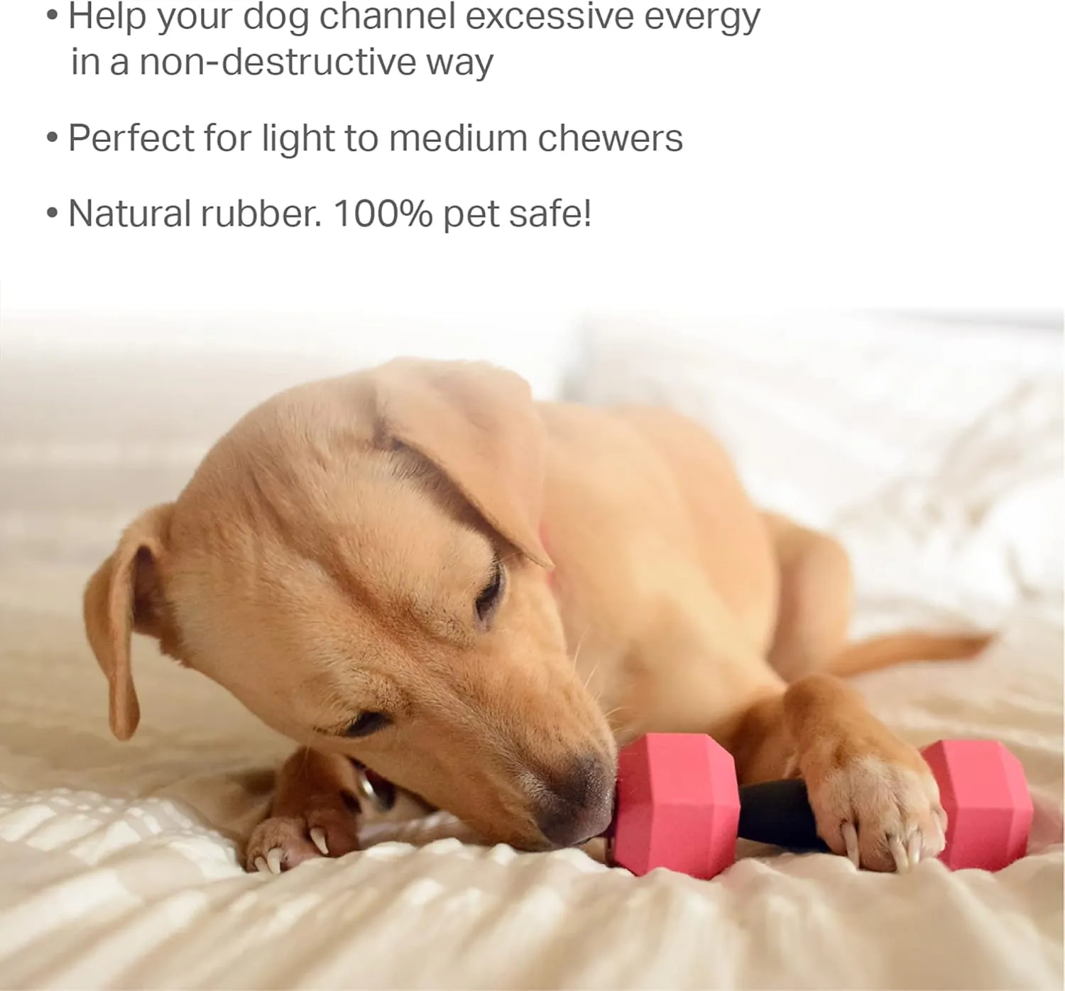 Friends Forever Dog Chew Toy, Interactive Treat Dispensing Toys, Dog Puzzle Fun Indoor Play, Non-Toxic Durable Natural Rubber, Pink/Orange 2 Piece, Dumbbell