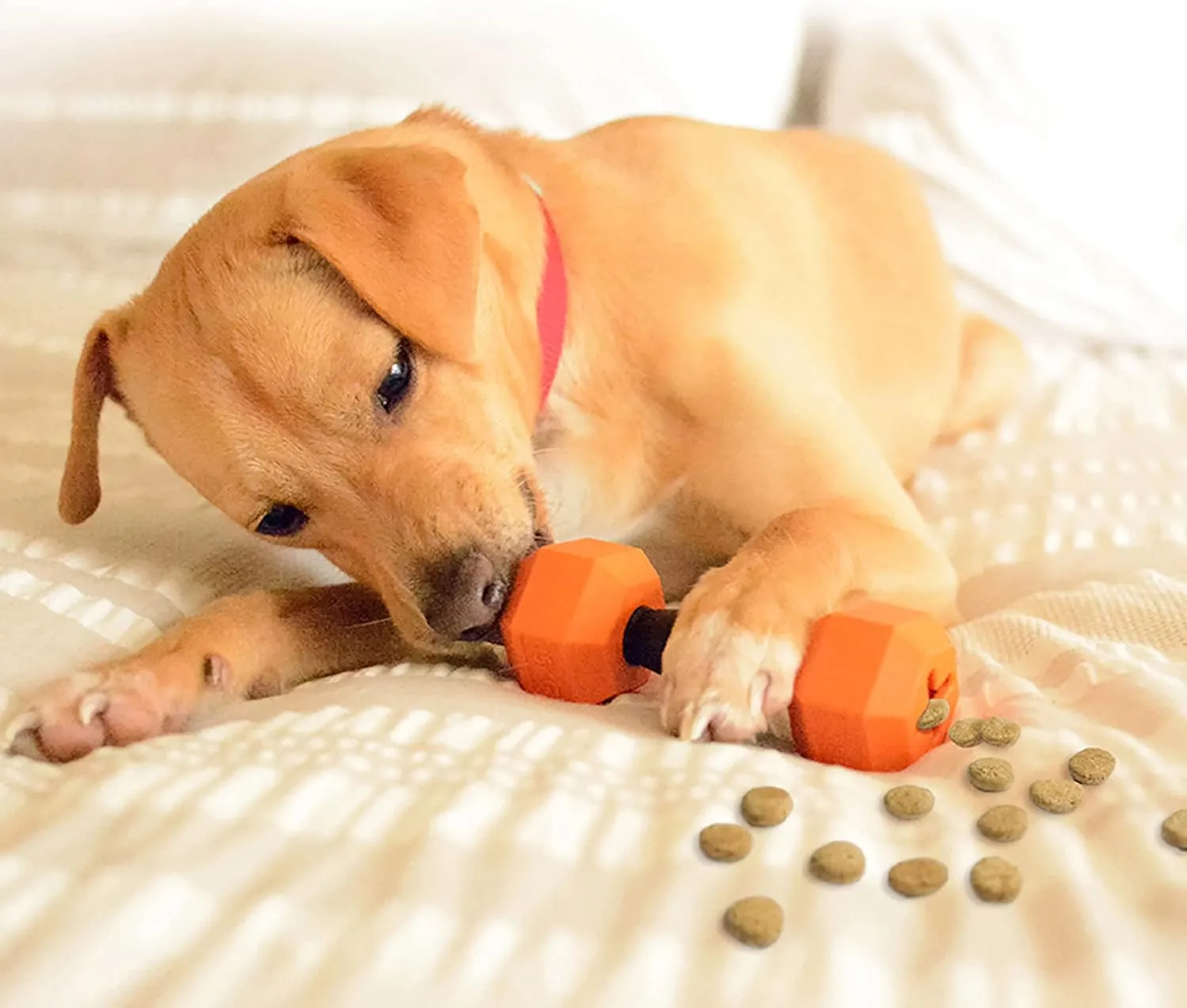 Friends Forever Dog Chew Toy, Interactive Treat Dispensing Toys, Dog Puzzle Fun Indoor Play, Non-Toxic Durable Natural Rubber, Pink/Orange 2 Piece, Dumbbell