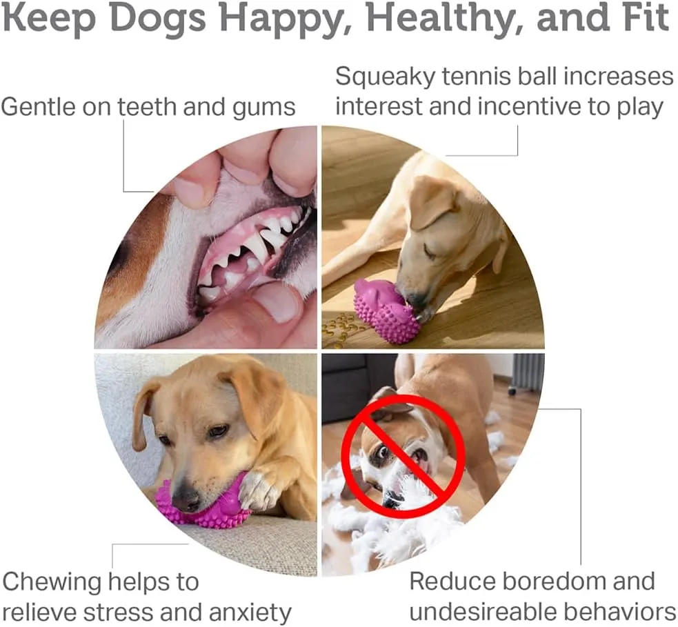Friends Forever Squeaky Dog Toys with Tennis Ball, Tough Dog Chew Toys, Interactive Puppy Toy with Natural Rubber, Rose Red Hedgehog