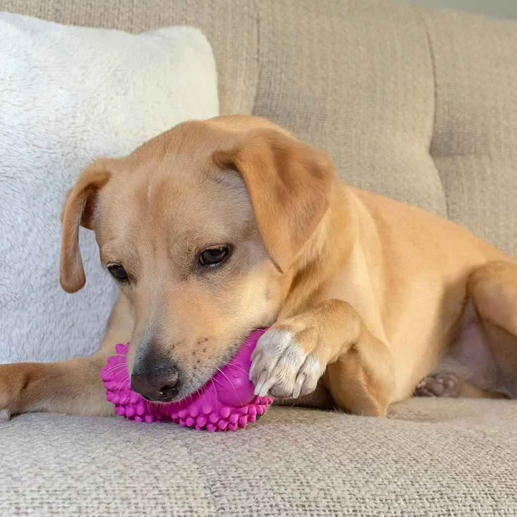 Friends Forever Squeaky Dog Toys with Tennis Ball, Tough Dog Chew Toys, Interactive Puppy Toy with Natural Rubber, Rose Red Hedgehog