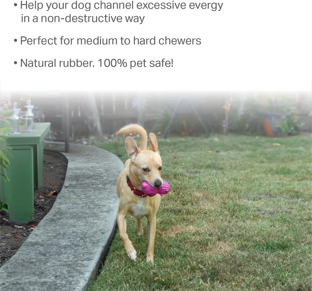 Friends Forever Squeaky Dog Toys with Tennis Ball, Tough Dog Chew Toys, Interactive Puppy Toy with Natural Rubber, Rose Red Hedgehog