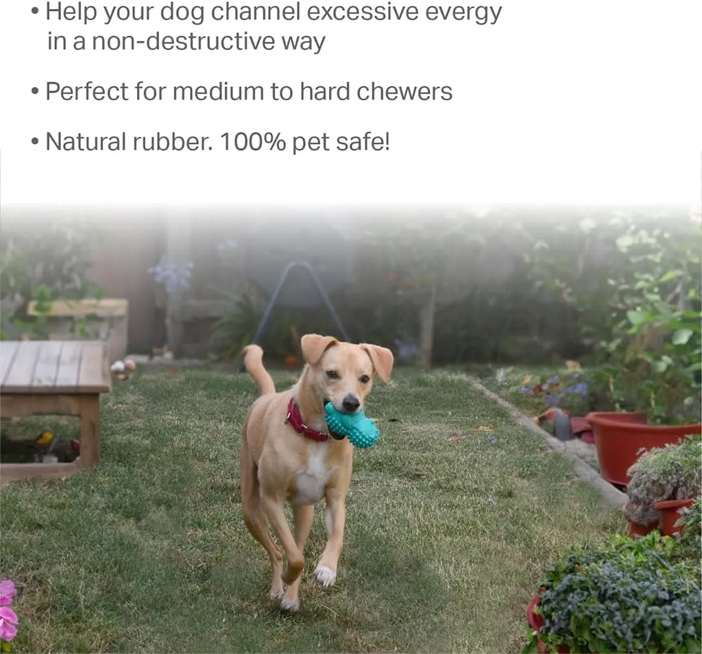 Friends Forever Squeaky Dog Toys with Tennis Ball, Tough Dog Chew Toys, Interactive Puppy Toy with Natural Rubber, Teal Hedgehog