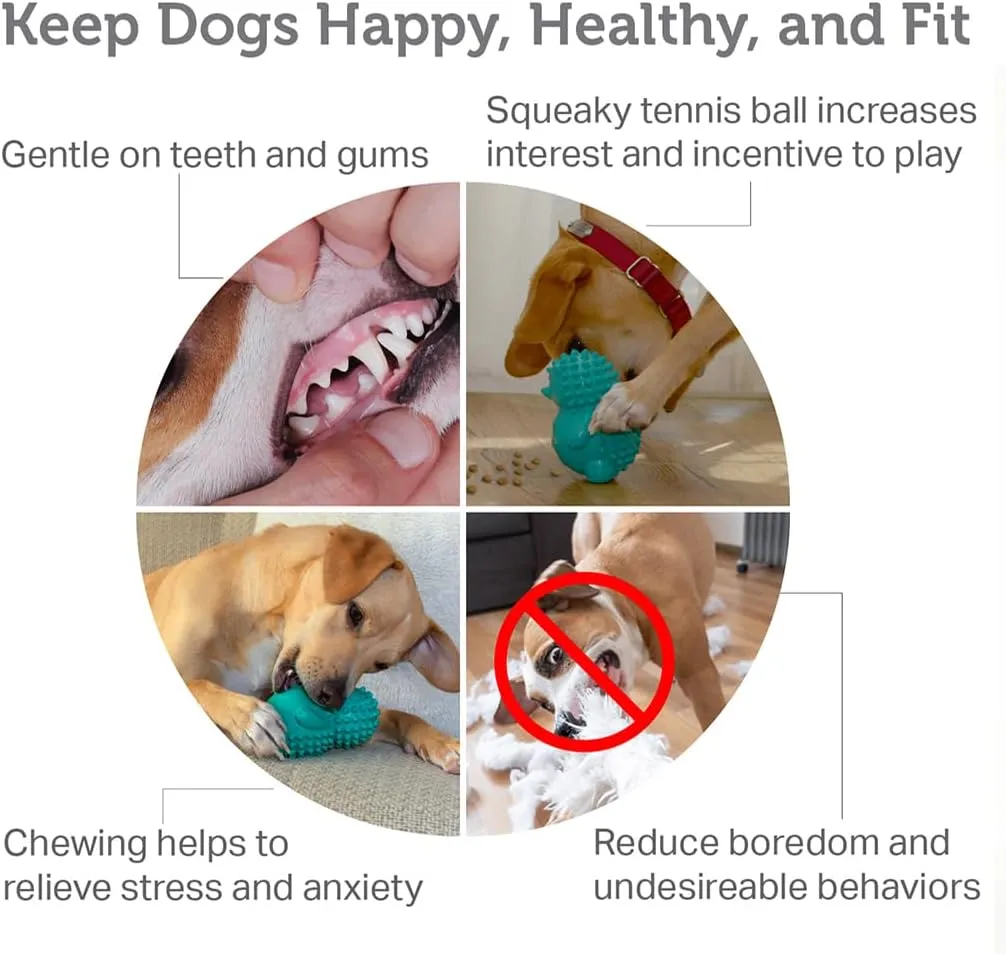 Friends Forever Squeaky Dog Toys with Tennis Ball, Tough Dog Chew Toys, Interactive Puppy Toy with Natural Rubber, Teal Hedgehog