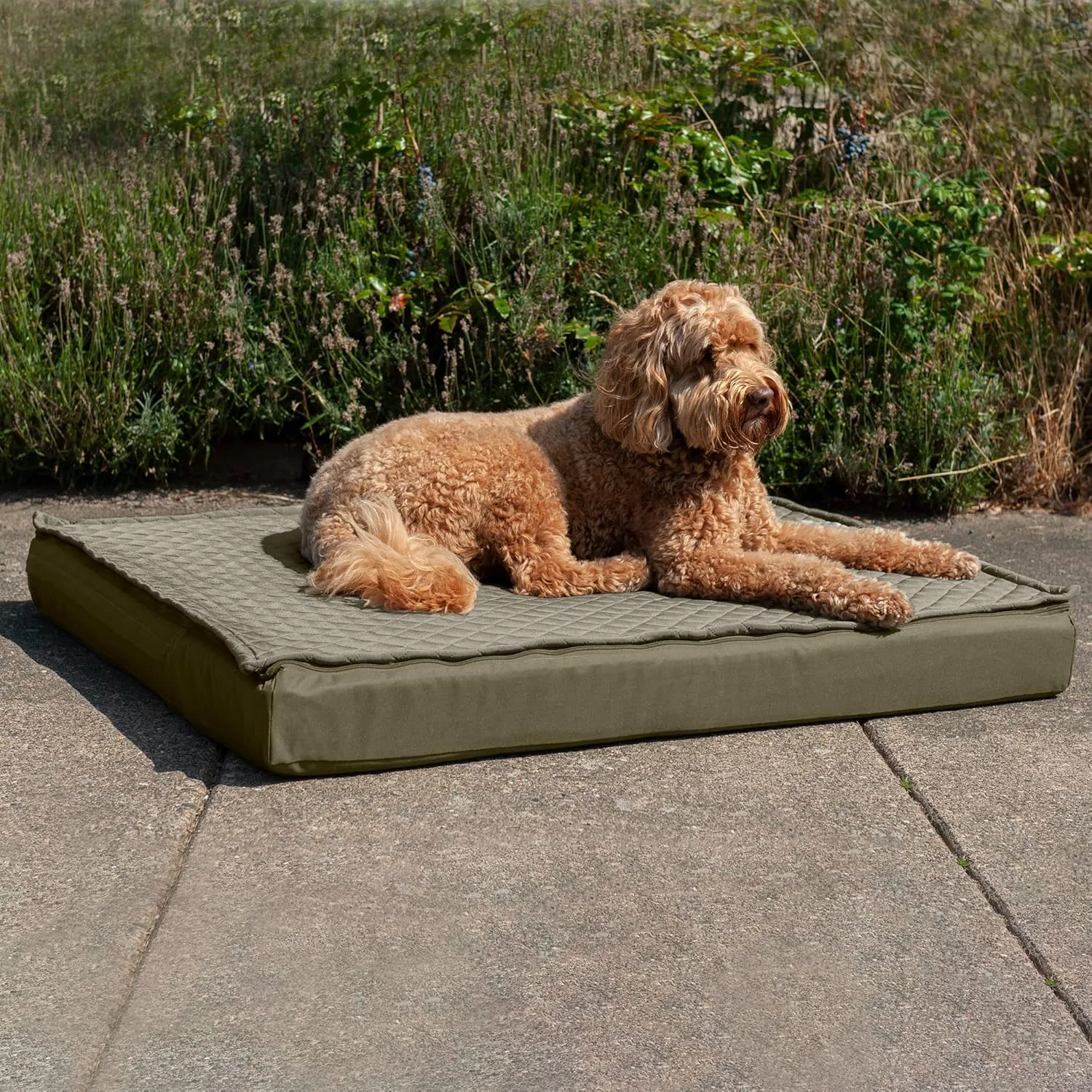 Furhaven Water-Resistant Cooling Gel Dog Bed for Large Dogs w/ Removable Quilt Top & Washable Cover, For Dogs Up to 95 lbs - Indoor/Outdoor Quilt Top Convertible Mattress - Dark Sage, Jumbo/XL