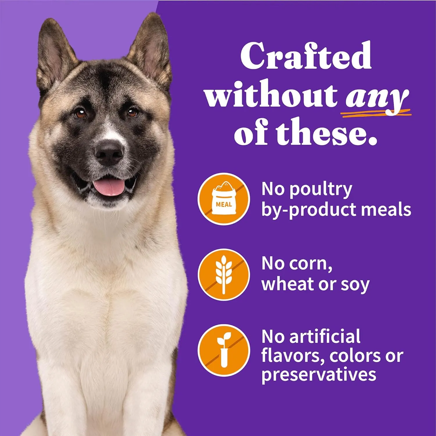 Halo Senior Wet Dog Food Whole Chicken Recipe, Grain Free Real Meat Canned Dog Food for Senior Dogs, Meal or Topper, 13.2 Oz Can (Pack of 6)
