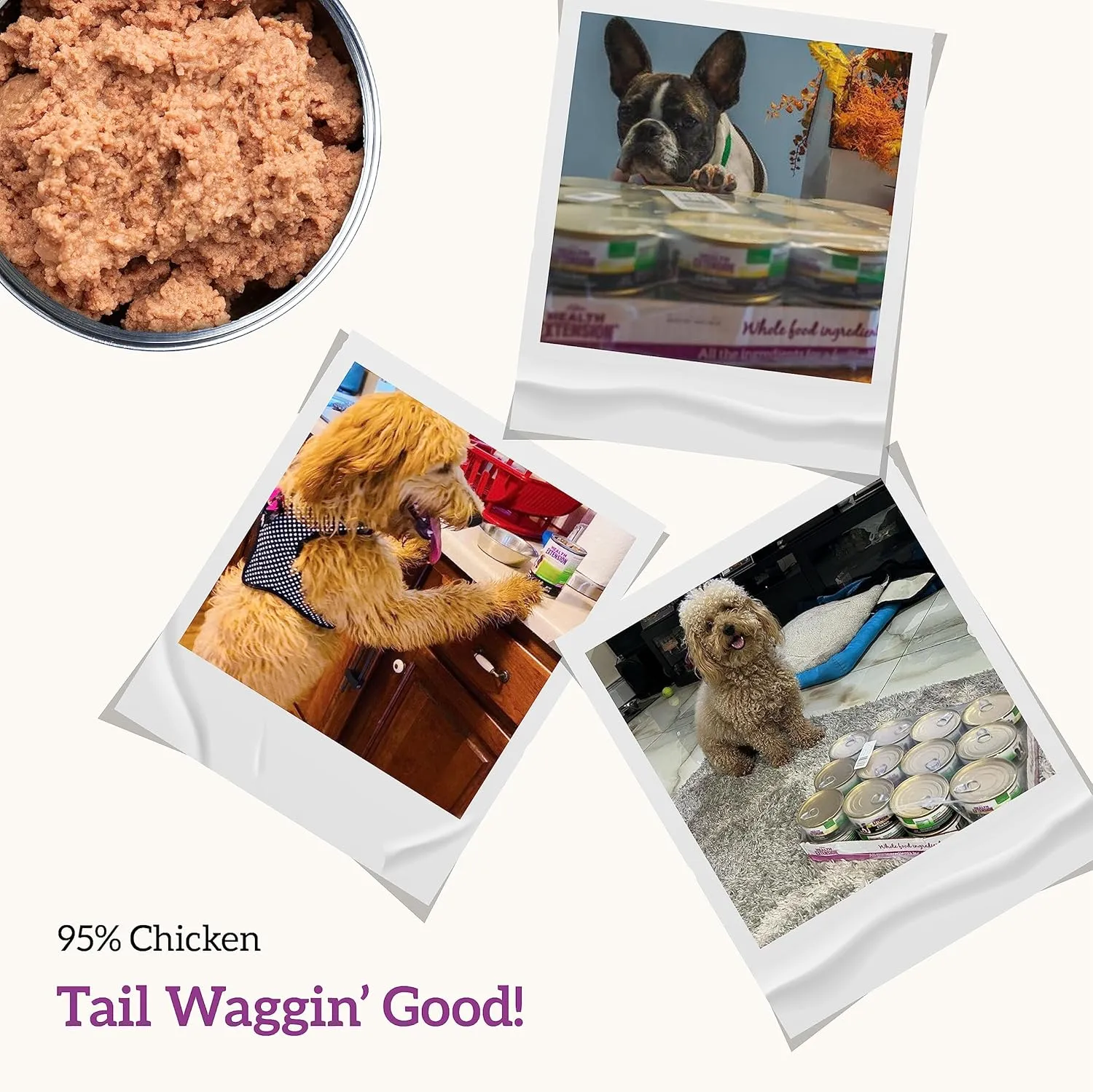 Health Extension Chicken Entre Wet Dog Food Grain-Free  5.5 oz  Protein-Rich Formula, Hydration Support, Ideal for Sensitive Stomachs (Case of 24 Cans)
