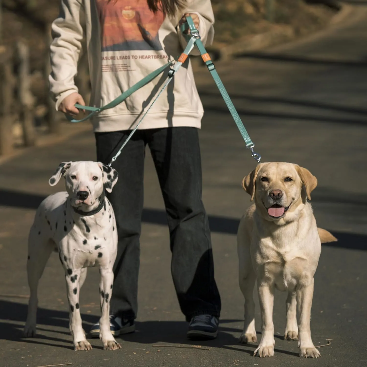 HOWGO Double Dog Leash, No Tangle 360 Swivel, Adjustable Two Padded Handles, Double Clip Dog Leash Coupler Splitter for Large and Medium Breeds (Mint Green, 4/5'' x 4.8 FT)