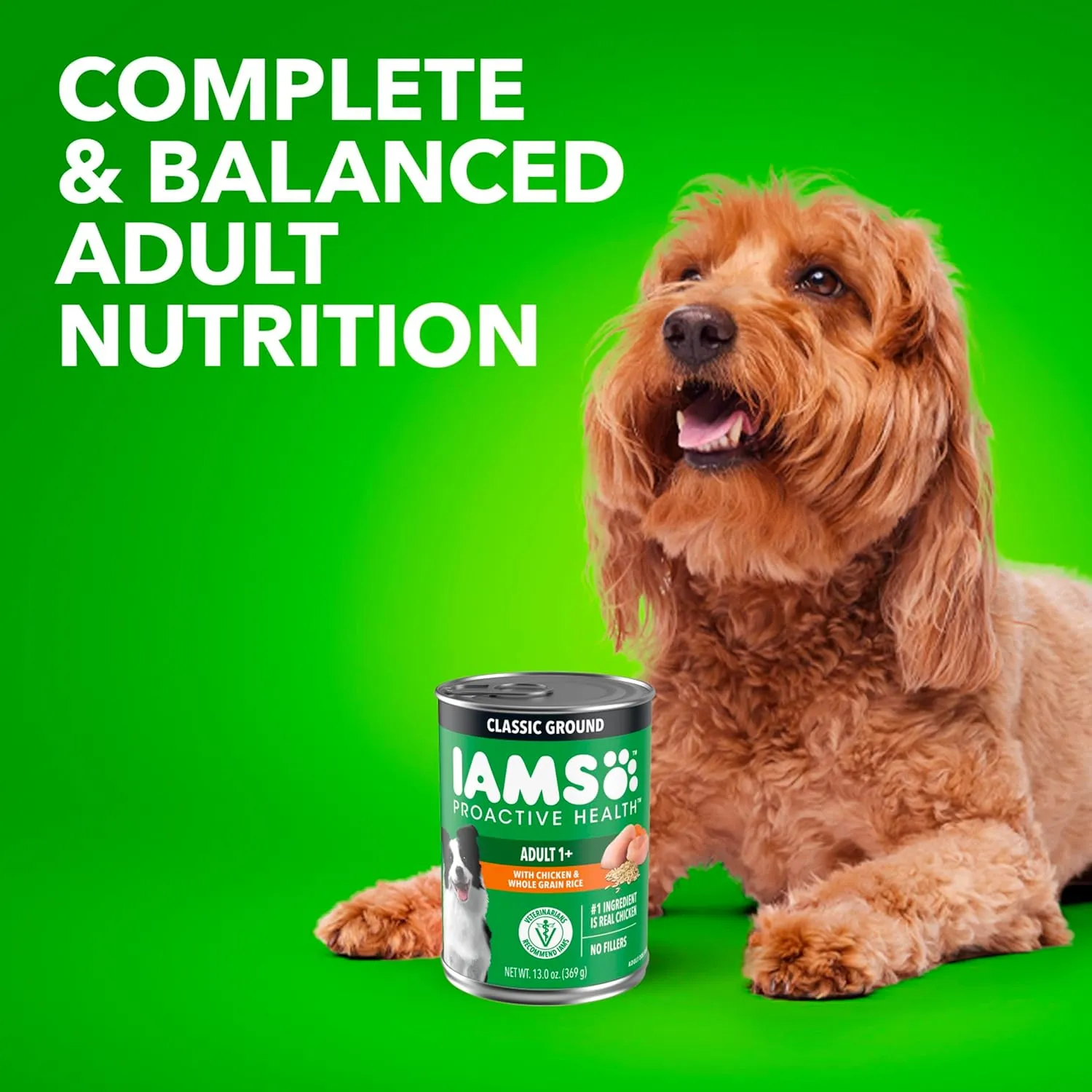 IAMS Proactive Health Adult Wet Dog Food Classic Ground with Chicken and Rice, 13 oz. Cans, Pack of 6