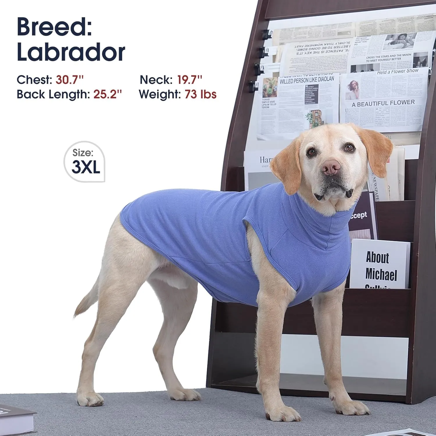 IECOii Medium Dog Sweater,Stretch Fleece Vest Dog Sweater - Blue, Medium,Warm Pullover Dog Fleece Sweater,Turtleneck Dog Sweaters for Medium Dogs Girl Boy,Christmas Dog Sweater Pet Winter Sweatshirt