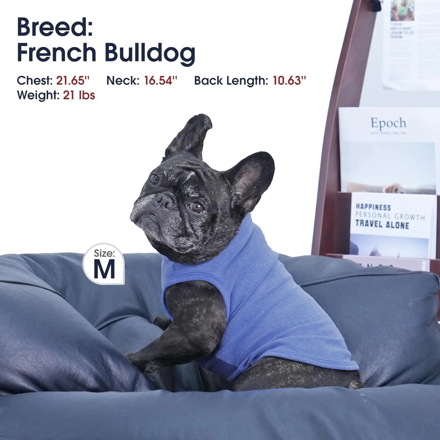 IECOii Medium Dog Sweater,Stretch Fleece Vest Dog Sweater - Blue, Medium,Warm Pullover Dog Fleece Sweater,Turtleneck Dog Sweaters for Medium Dogs Girl Boy,Christmas Dog Sweater Pet Winter Sweatshirt