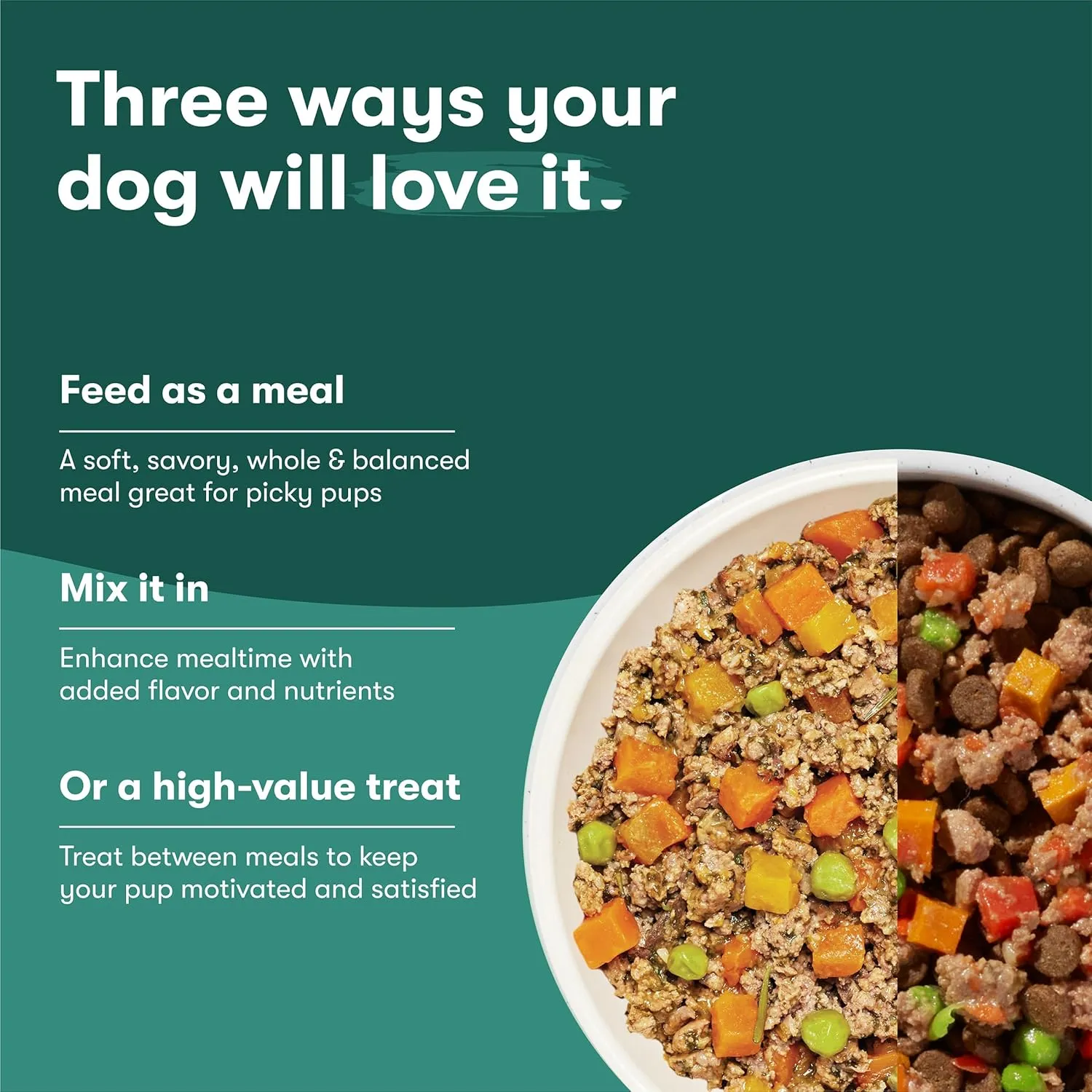Jinx Salmon Wet Dog Food Topper, Mix with Dry Dog Food, Made with Real Salmon & Chicken, Bone Broth, No Fillers, Puppy, Adult, Senior, 9oz, 6 Pack