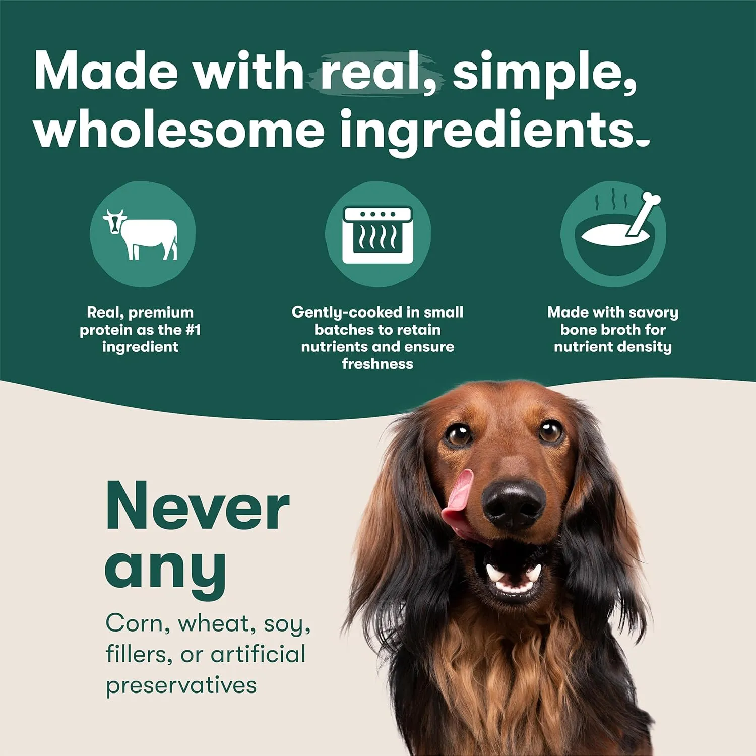 Jinx Salmon Wet Dog Food Topper, Mix with Dry Dog Food, Made with Real Salmon & Chicken, Bone Broth, No Fillers, Puppy, Adult, Senior, 9oz, 6 Pack