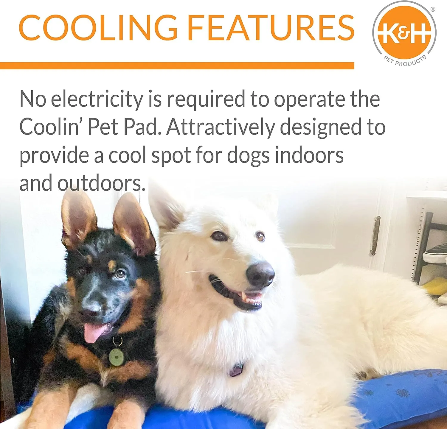 K&H Pet Products Coolin' Pet Pad Dog Mat, Portable Dog Cooling Mat for Travel or in Home, Perfect for Carriers, Crates, Outdoor Houses, Yards, Porches, Pet Beds & More - E-Large 38 X 27in Chill Blue