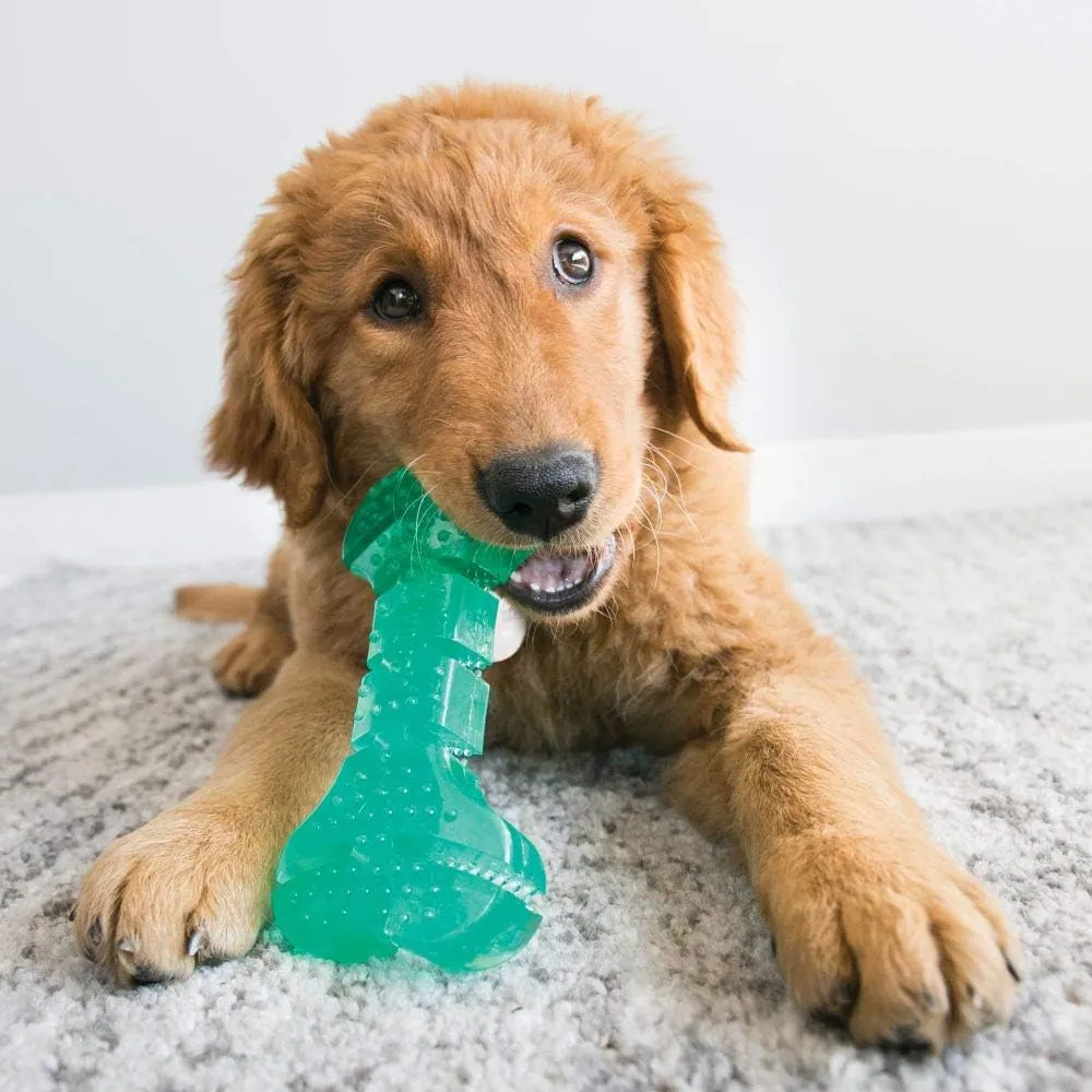 KONG Squeezz Dental Bone - Dog Toy for Cleaning Teeth - Flexible Chew Toy for Gentle & Mild Chewers - for Medium/Large Dogs