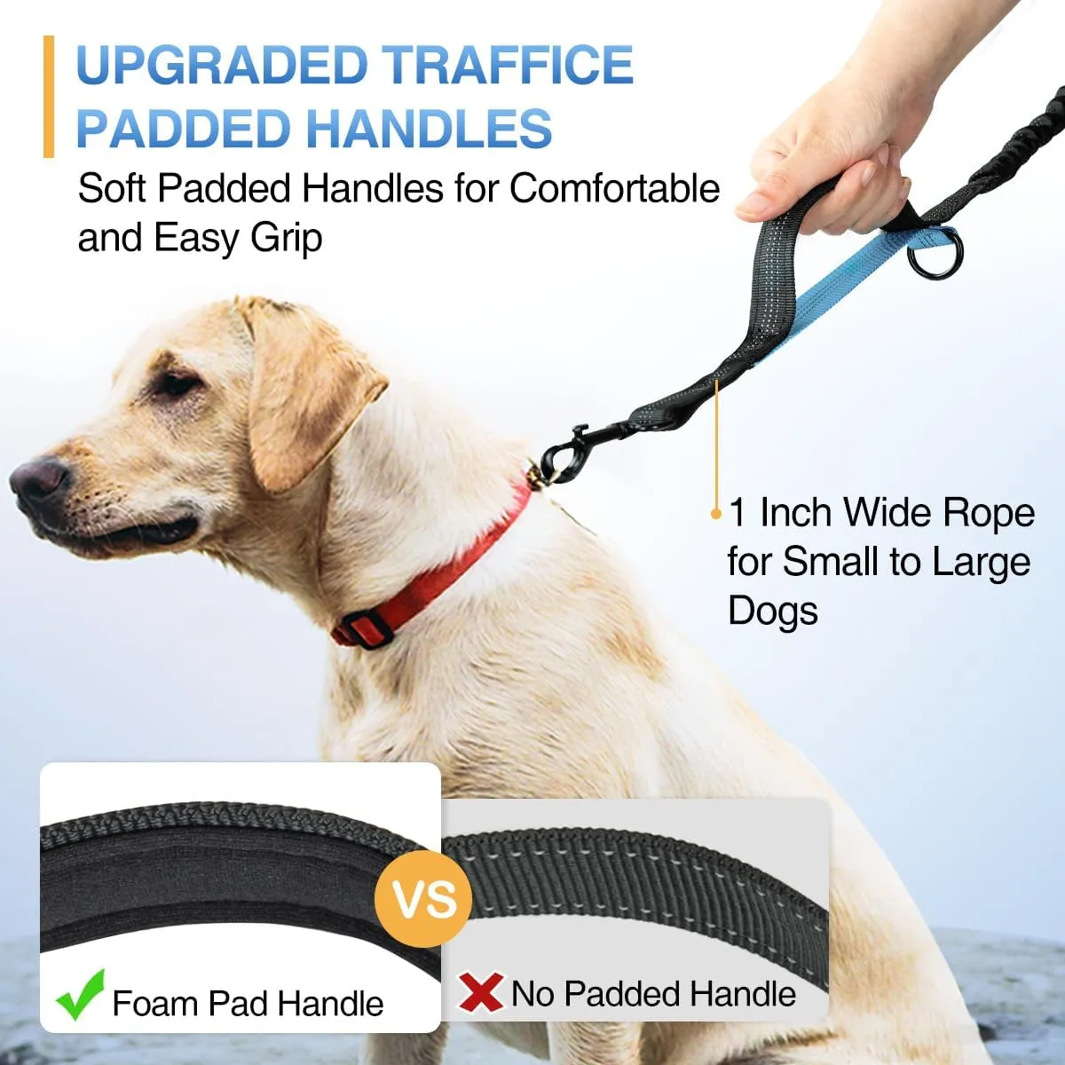 Kytely Hands-Free Dog Leash for 2 Dogs - Retractable Bungee Waist Leash with Zipper Pouch, Wide Padded Waist Belt & Dual Cushioned Handles for Running, Walking, Hiking, Jogging, and Dog Training