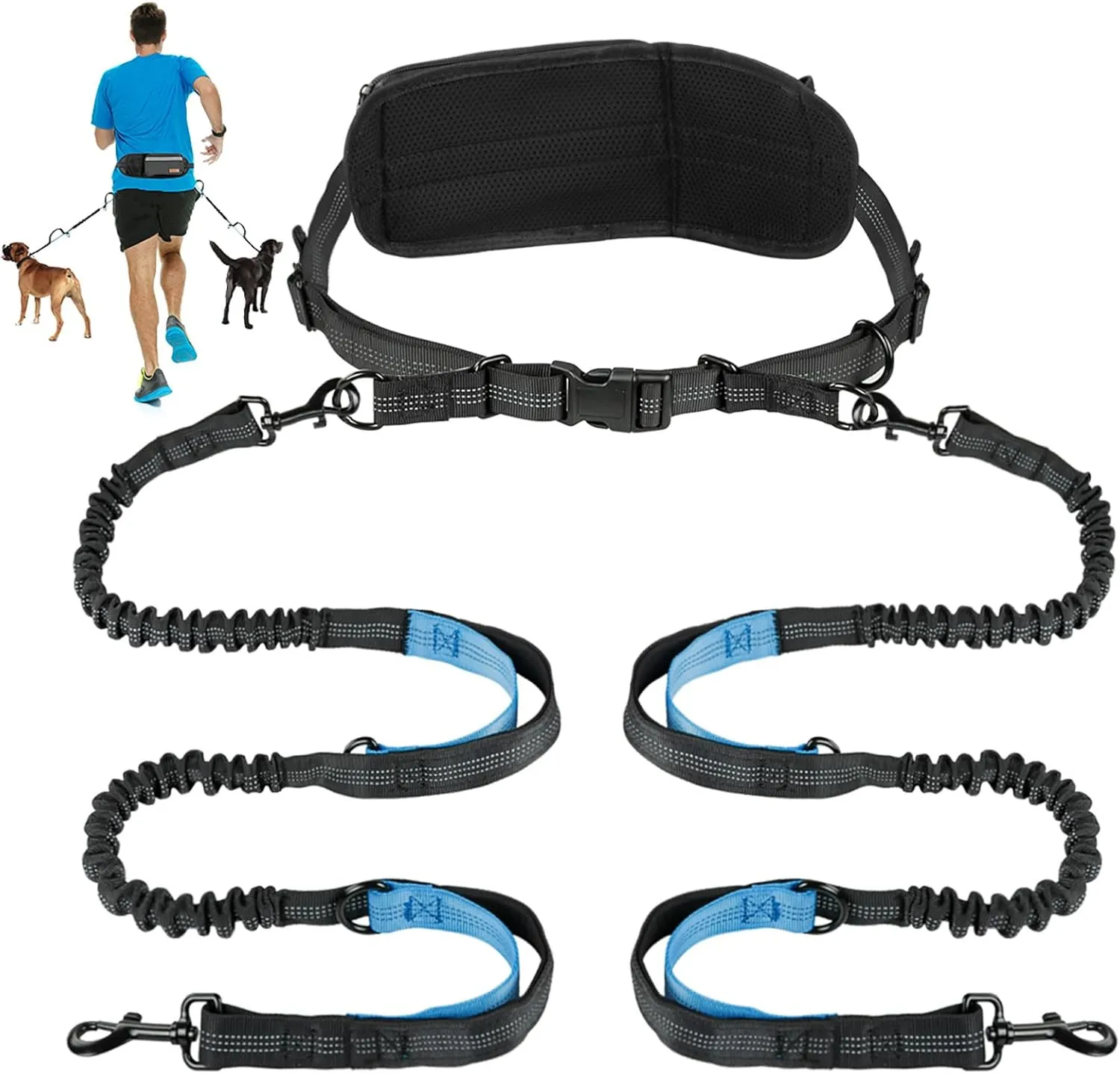 Kytely Hands-Free Dog Leash for 2 Dogs - Retractable Bungee Waist Leash with Zipper Pouch, Wide Padded Waist Belt & Dual Cushioned Handles for Running, Walking, Hiking, Jogging, and Dog Training