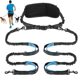 Kytely Hands-Free Dog Leash for 2 Dogs - Retractable Bungee Waist Leash with Zipper Pouch, Wide Padded Waist Belt & Dual Cushioned Handles for Running, Walking, Hiking, Jogging, and Dog Training