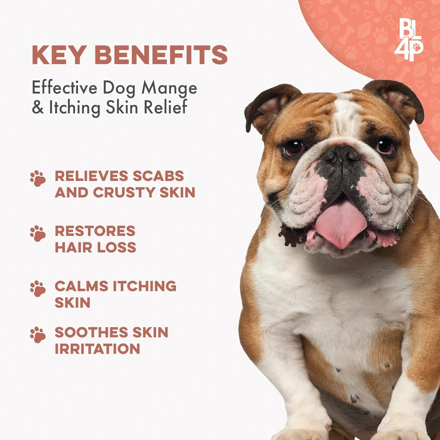 Mange Treatment for Dogs, Natural Dog Itching Skin Relief for Demodectic & Puppy Mange, Mites, Canine Scabies, Helps Dogs Skin Irritation, Hot Spots, Hair Loss, and Canine Dandruff, 400 Odorless Pills
