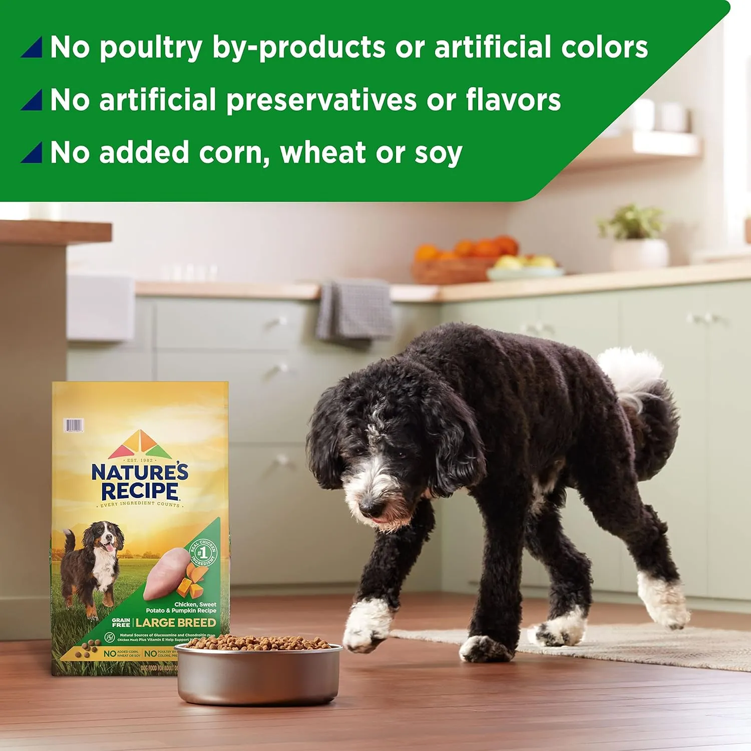 Natures Recipe Grain Free Large Breed Chicken, Sweet Potato & Pumpkin Recipe Dry Dog Food, 24 lb. Bag