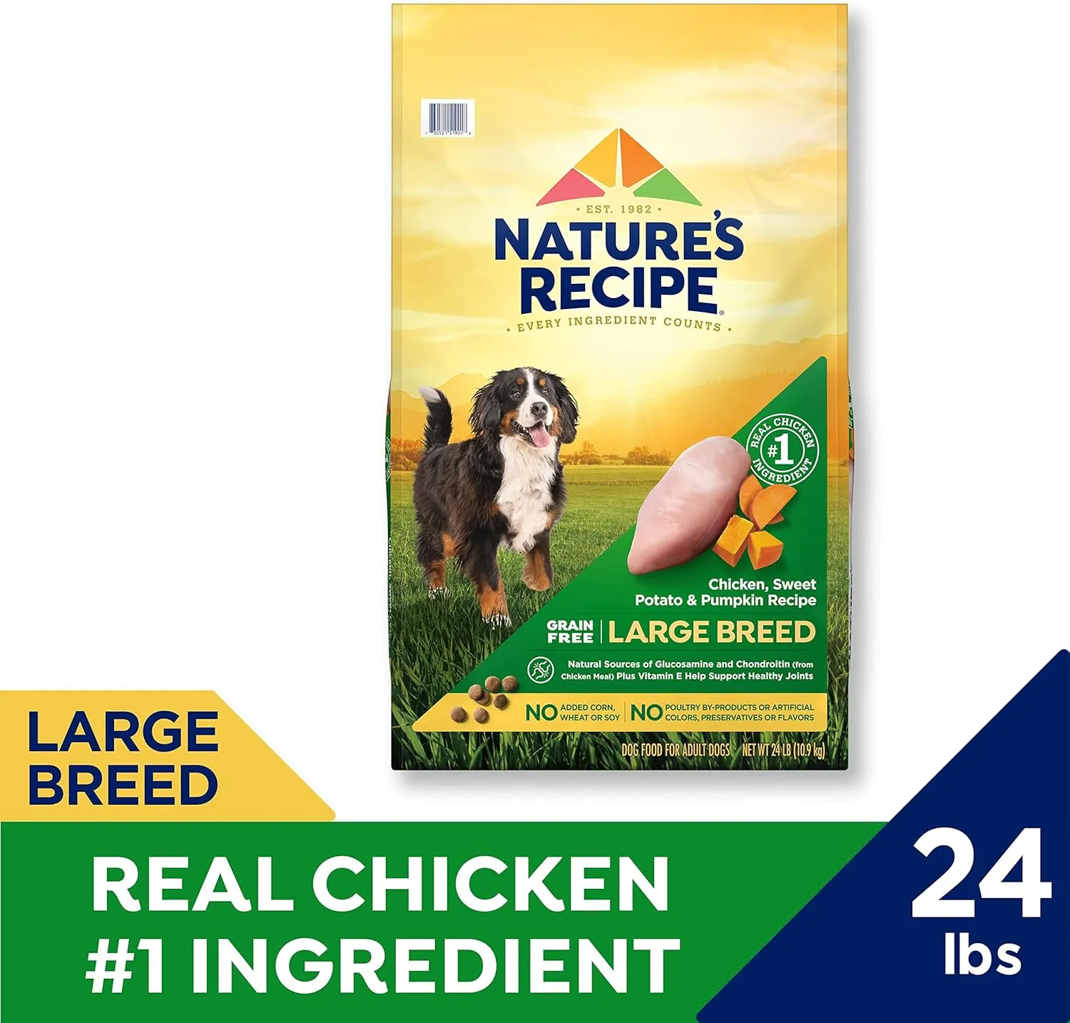 Natures Recipe Grain Free Large Breed Chicken, Sweet Potato & Pumpkin Recipe Dry Dog Food, 24 lb. Bag