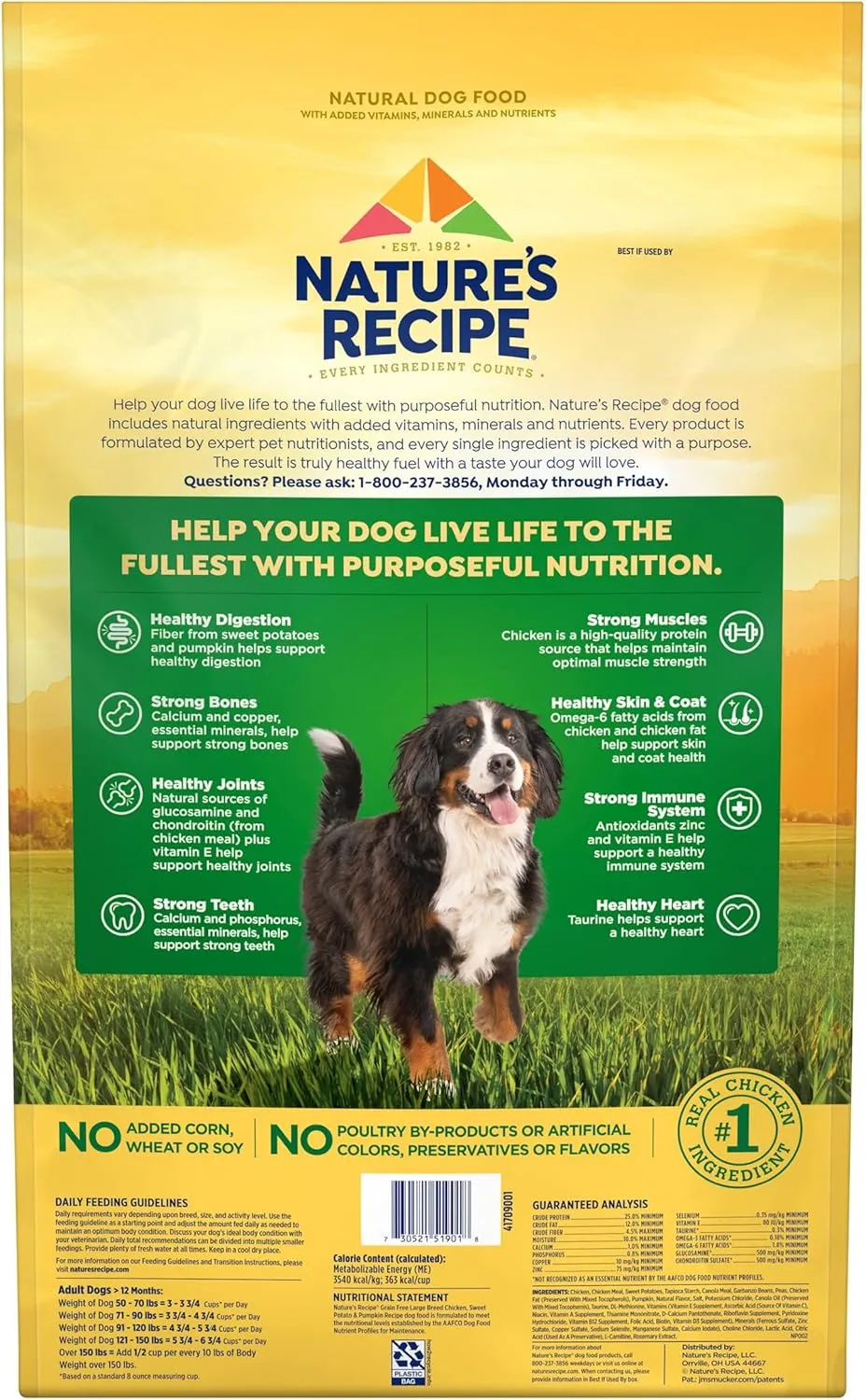 Natures Recipe Grain Free Large Breed Chicken, Sweet Potato & Pumpkin Recipe Dry Dog Food, 24 lb. Bag