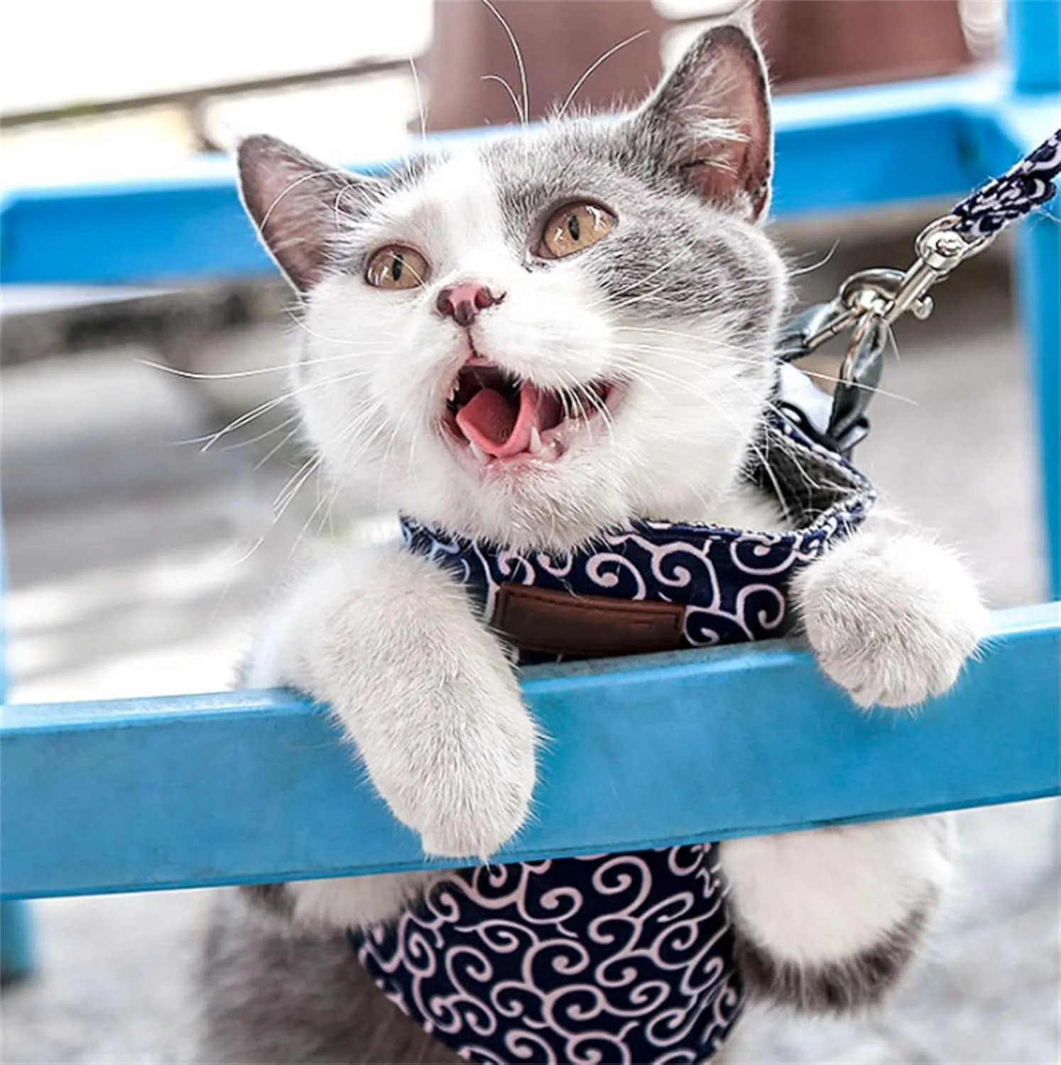 Niowatched Cat Vest Harness and Leash, Cat Dogs Vest Harness and Leash Anti-Break Away Chest Strap, Breathable Soft Adjustable (Green, XS)